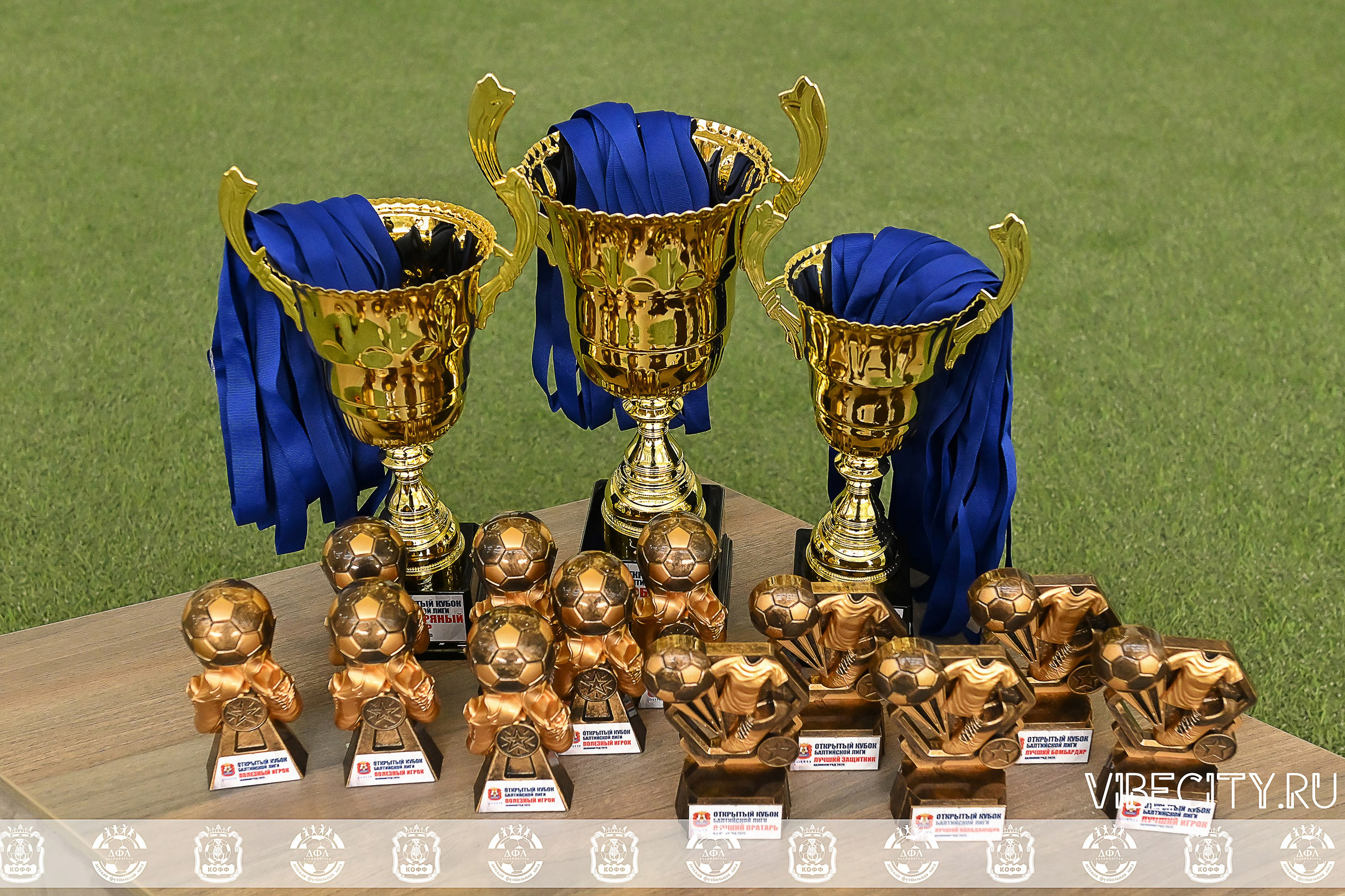 КУБОК БАЛТИЙСКОЙ ЛИГИ ПО МИНИ-ФУТБОЛУ U9 ЗЛ. VIBECITY.RU Вайб Сити Ру Фоторепортажи Фотоотчеты Калининград