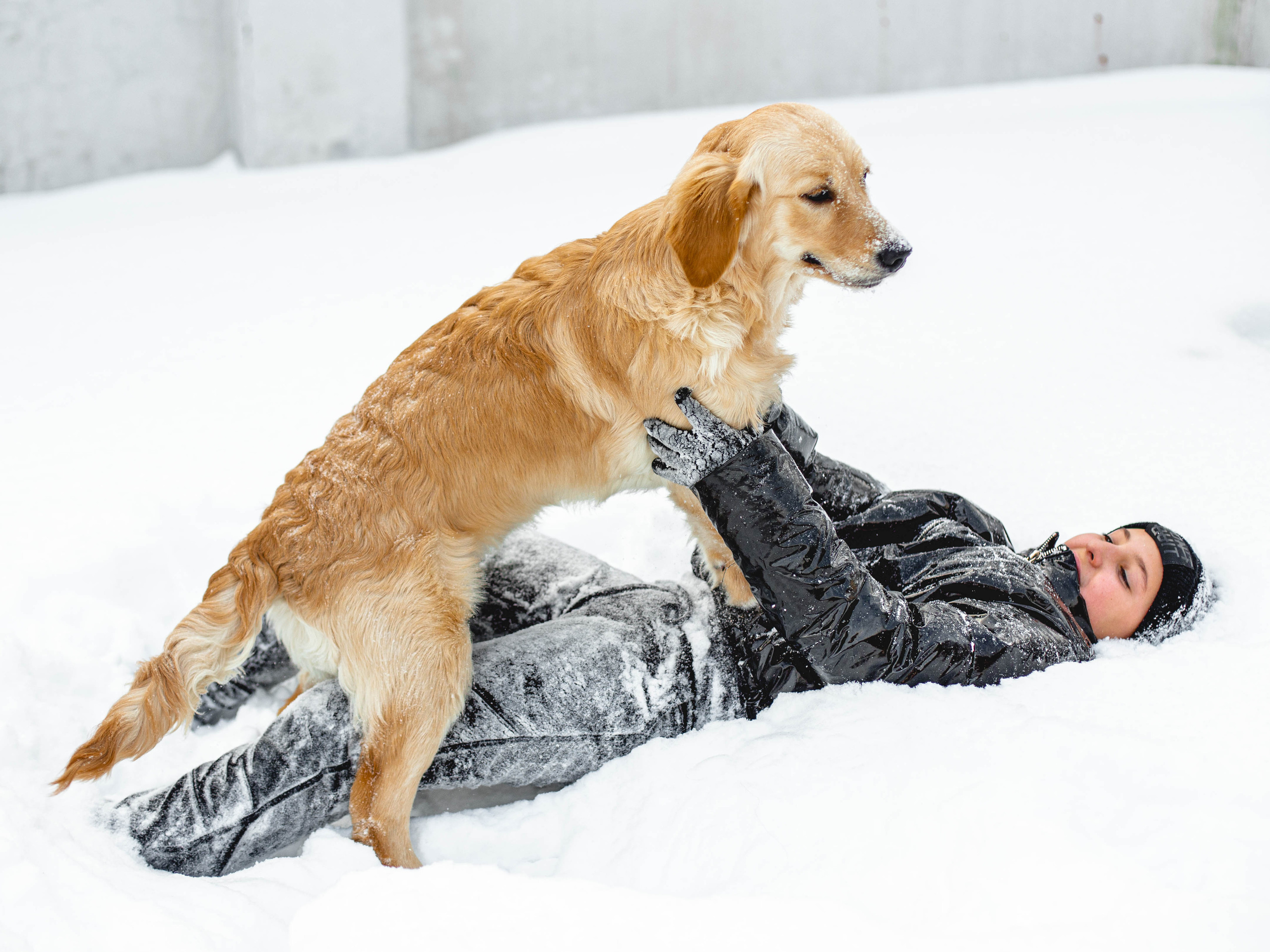 Ясмин Эмбер Наталис. Света Полетаева Москва