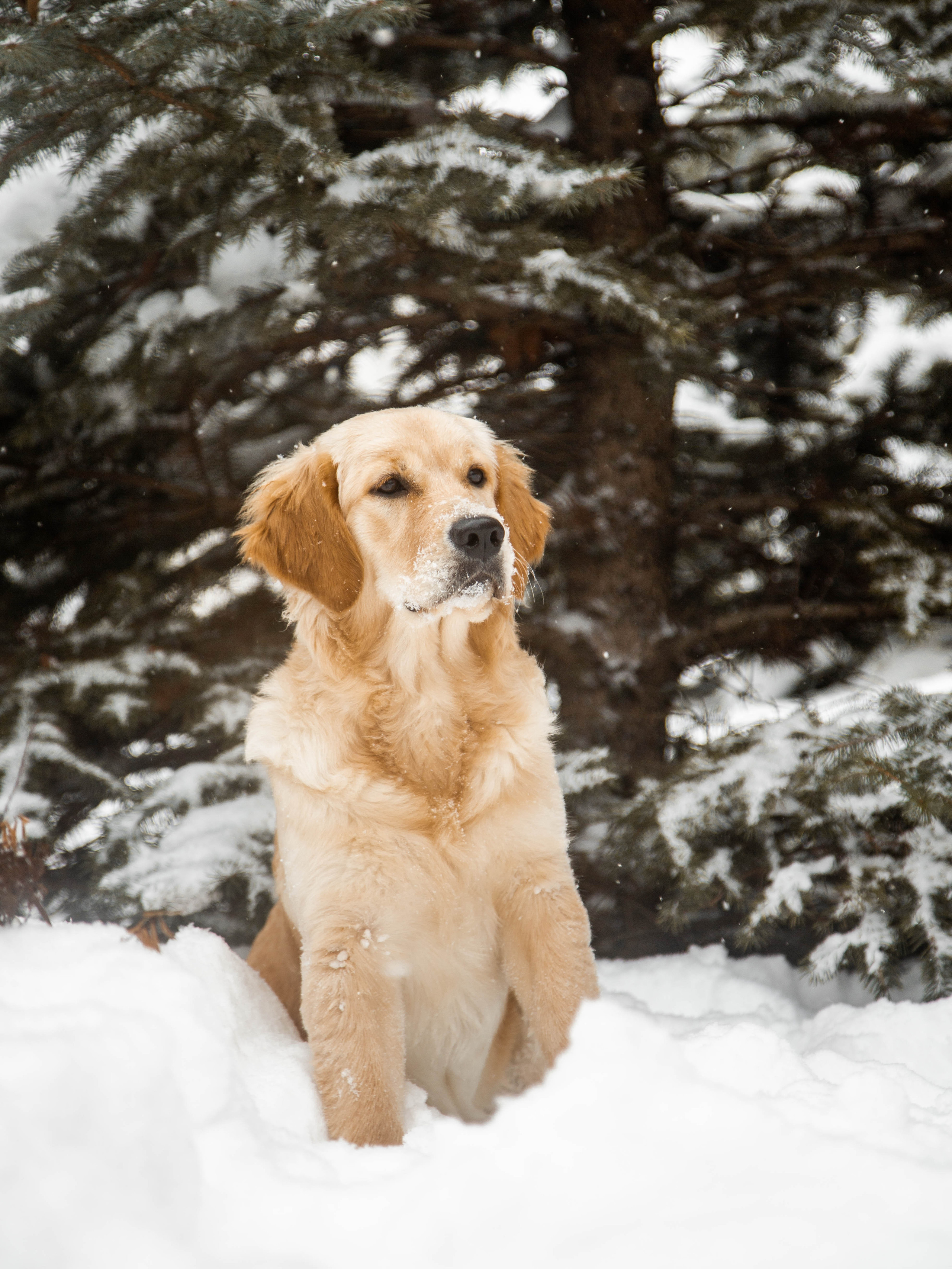 Ясмин Эмбер Наталис. Света Полетаева Москва