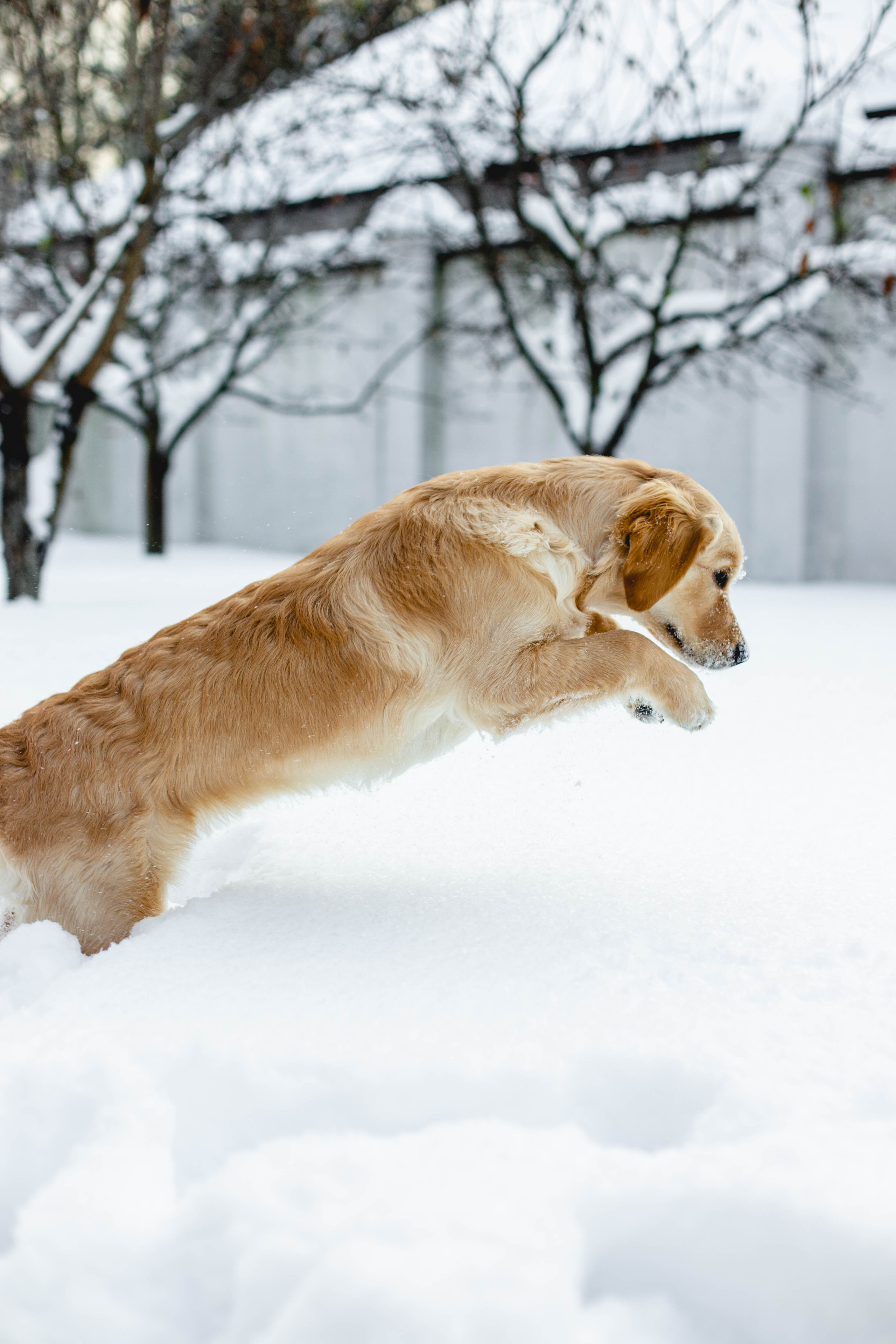 Ясмин Эмбер Наталис. Света Полетаева Москва