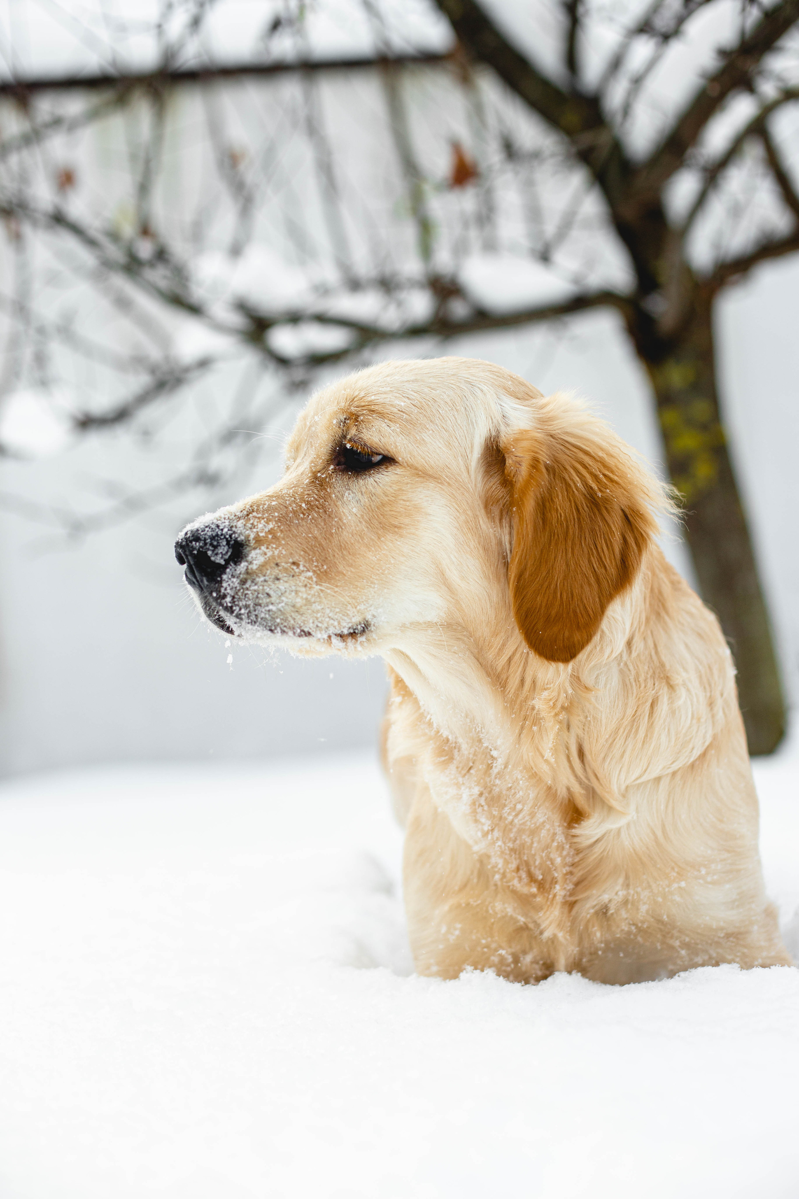Ясмин Эмбер Наталис. Света Полетаева Москва