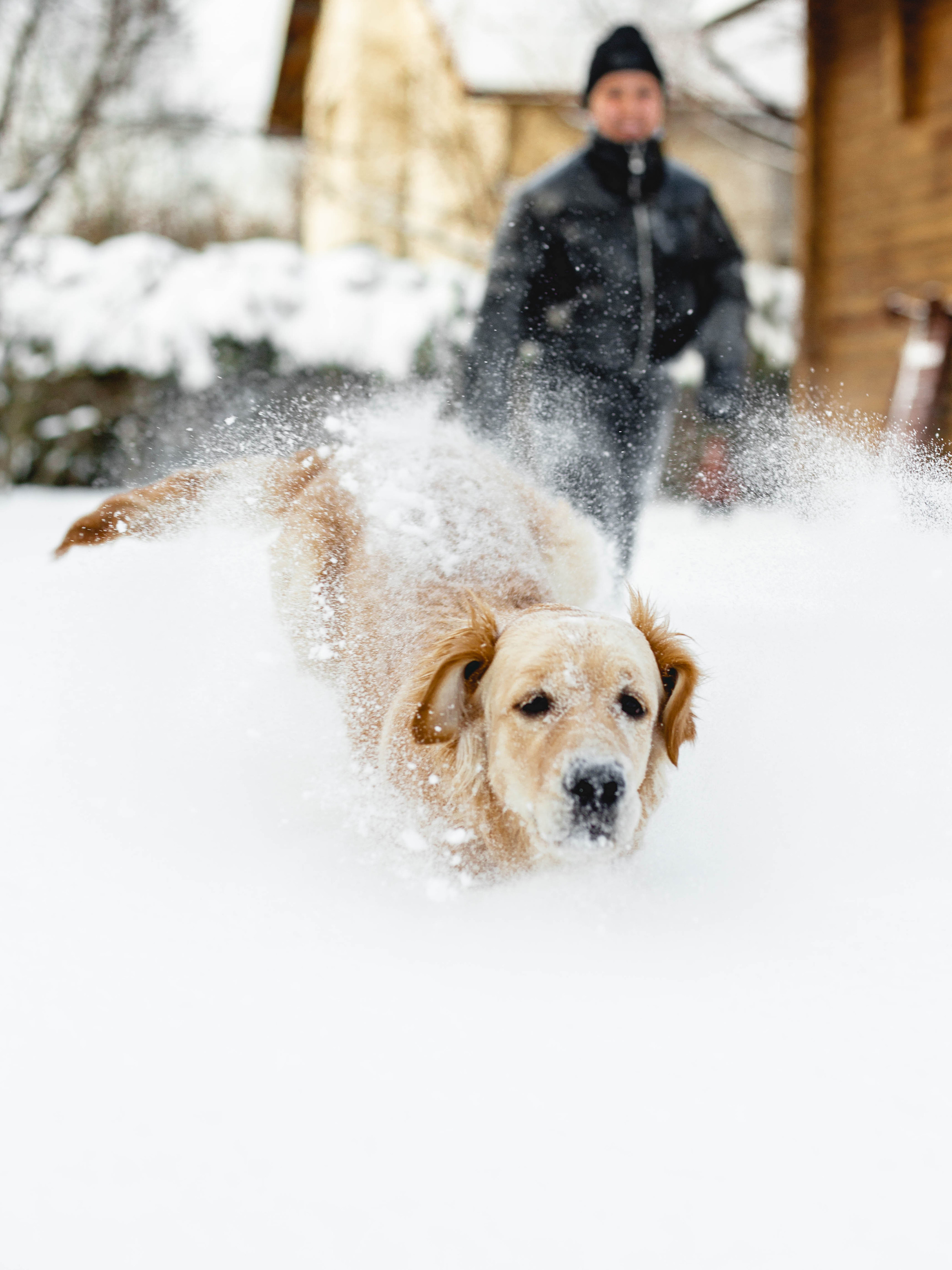 Ясмин Эмбер Наталис. Света Полетаева Москва