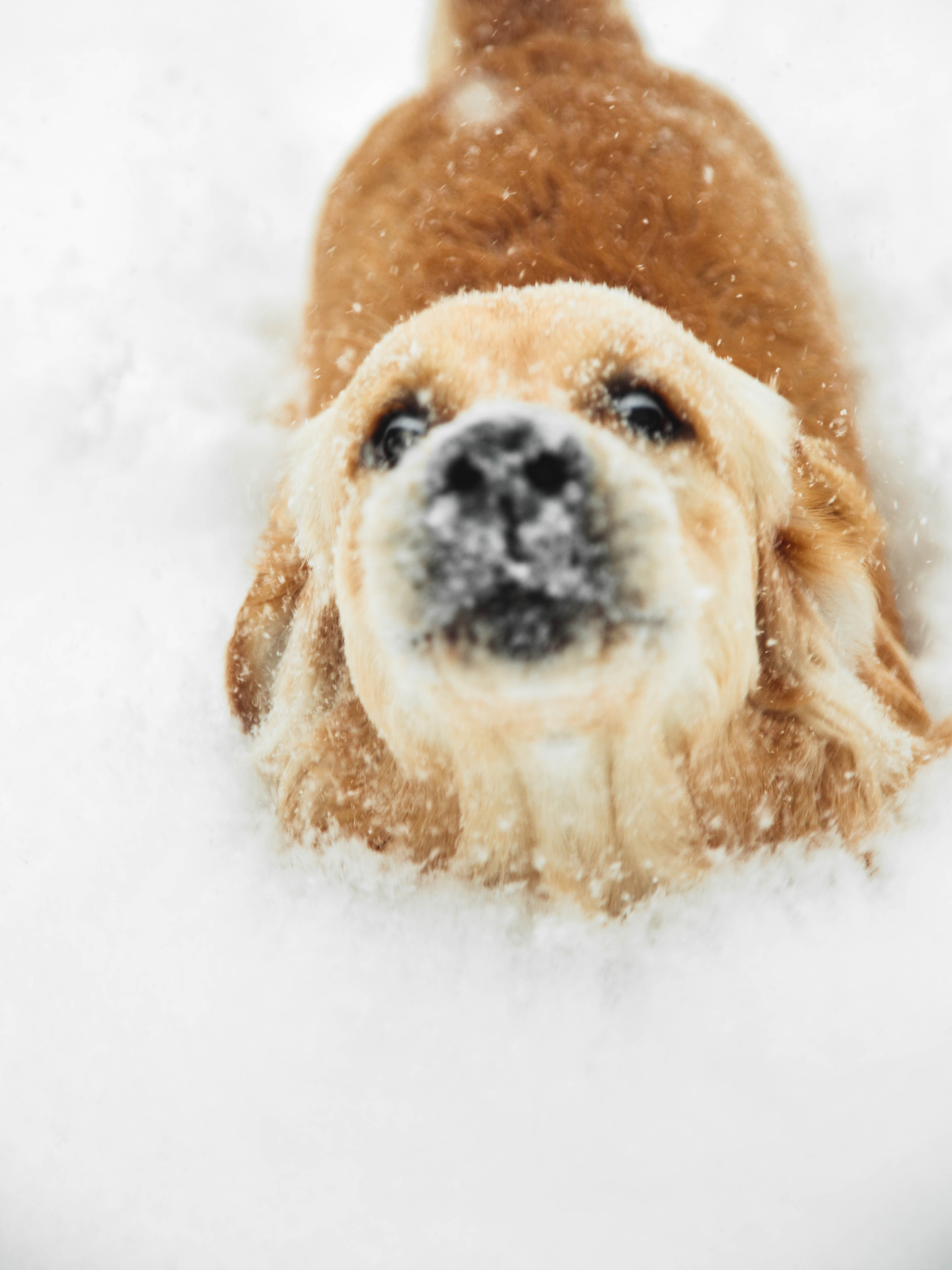 Ясмин Эмбер Наталис. Света Полетаева Москва