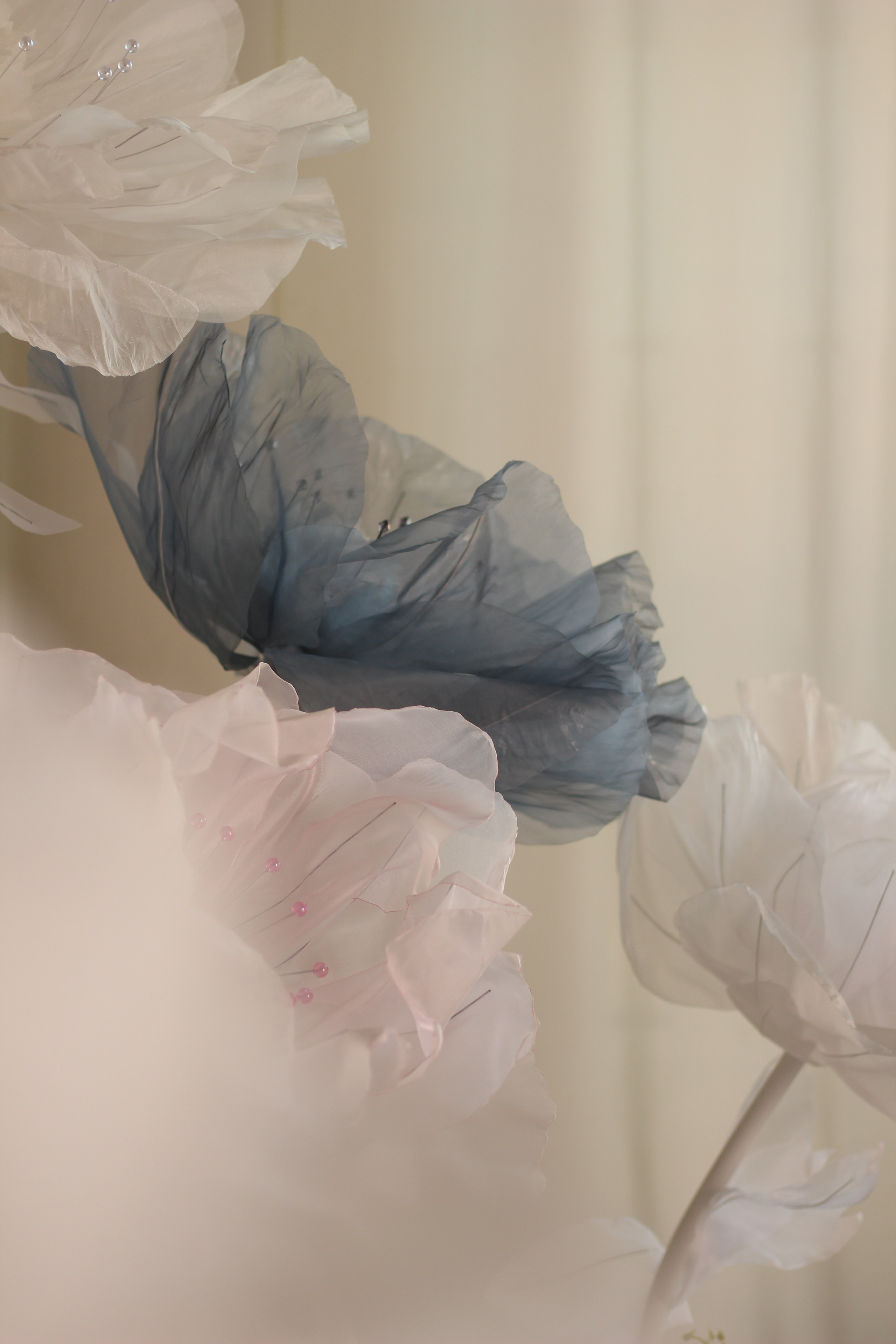 Фотосессия: «Алиса в Стране чудес». Фотограф Красноярск