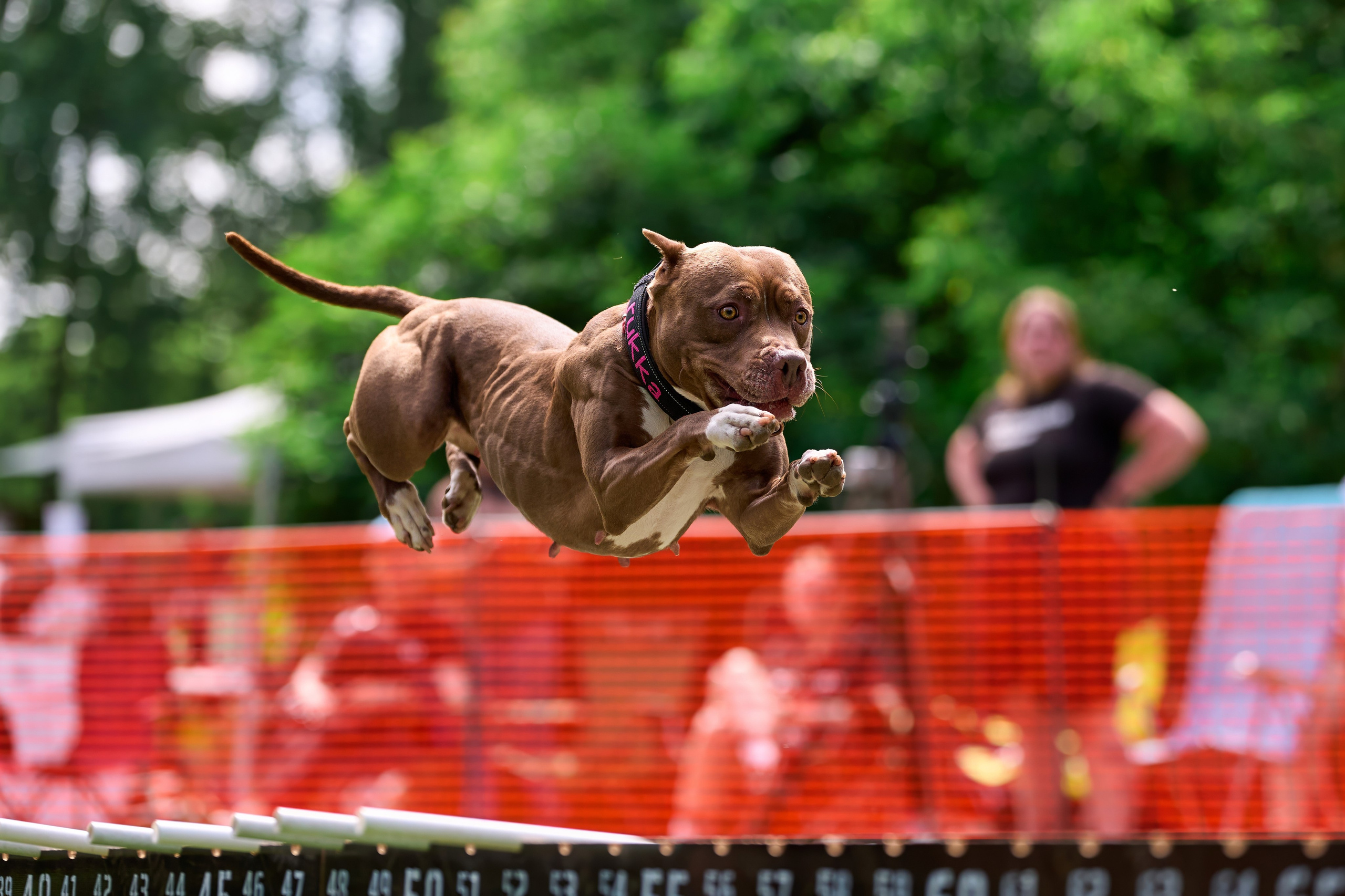Двухдневные соревнования «Jump'n'Gym Fest — 2024». Фотограф-анималист Михаил Манухин