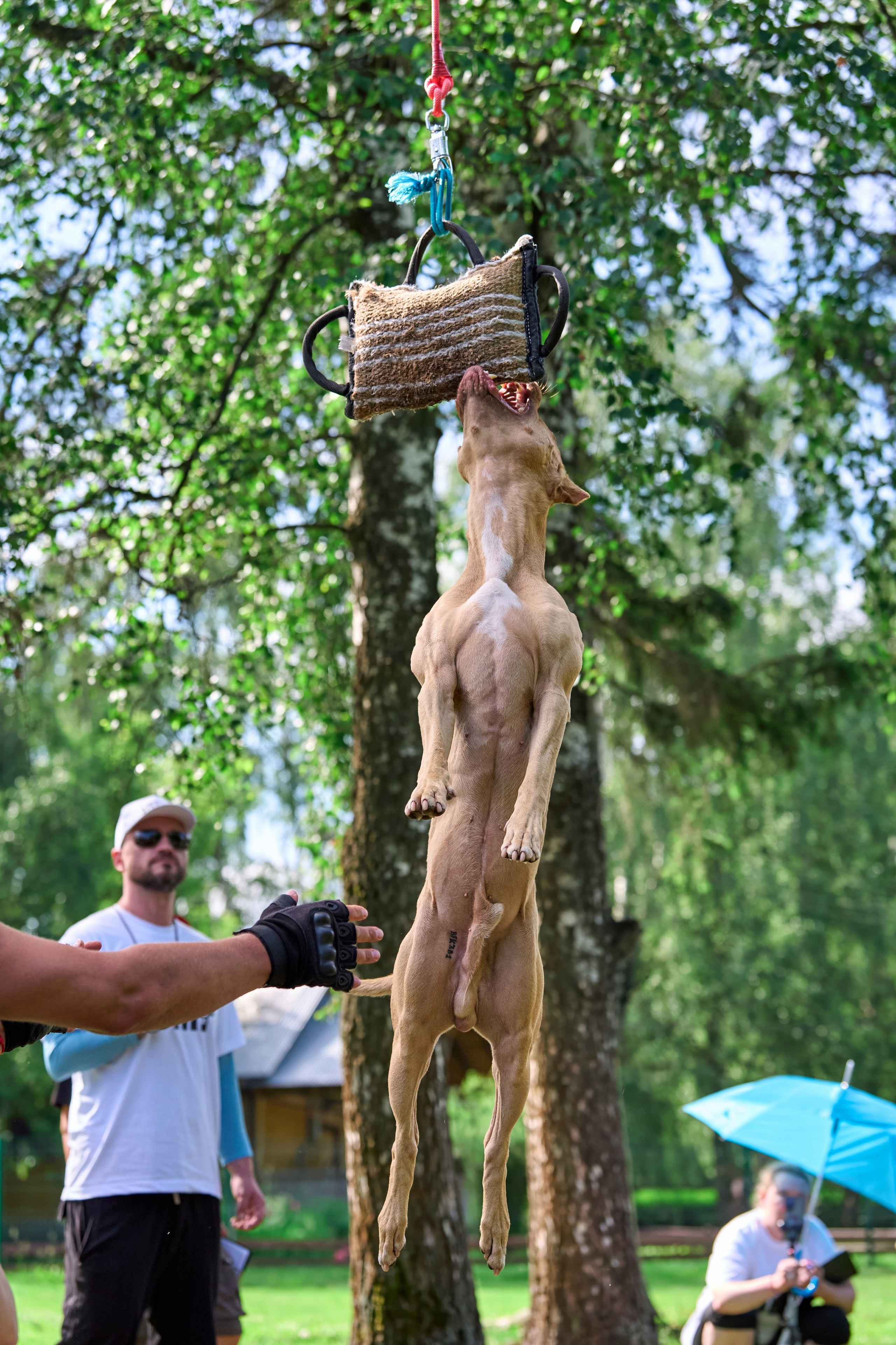 Двухдневные соревнования «Jump'n'Gym Fest — 2024». Фотограф-анималист Михаил Манухин