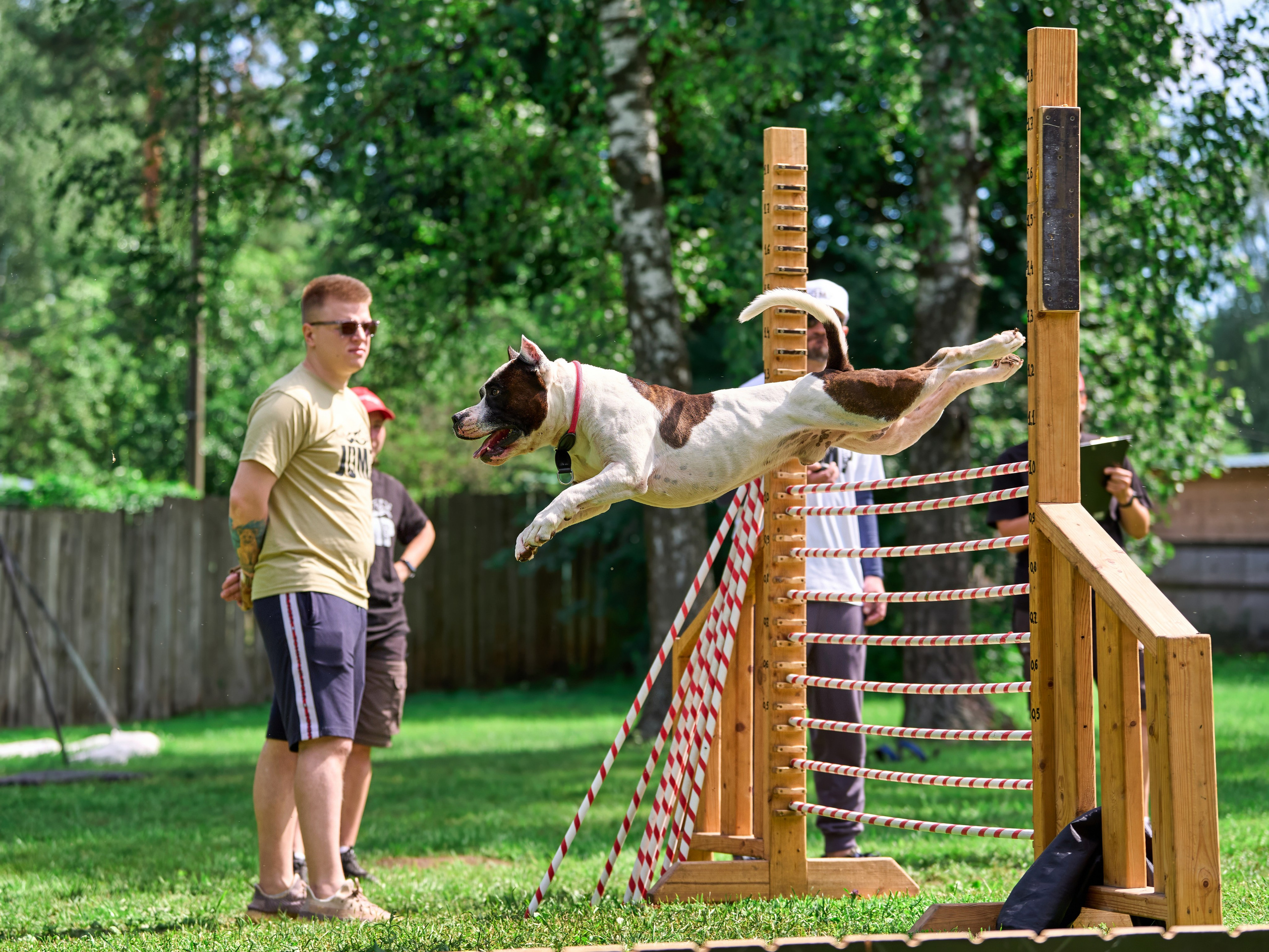 Двухдневные соревнования «Jump'n'Gym Fest — 2024». Фотограф-анималист Михаил Манухин