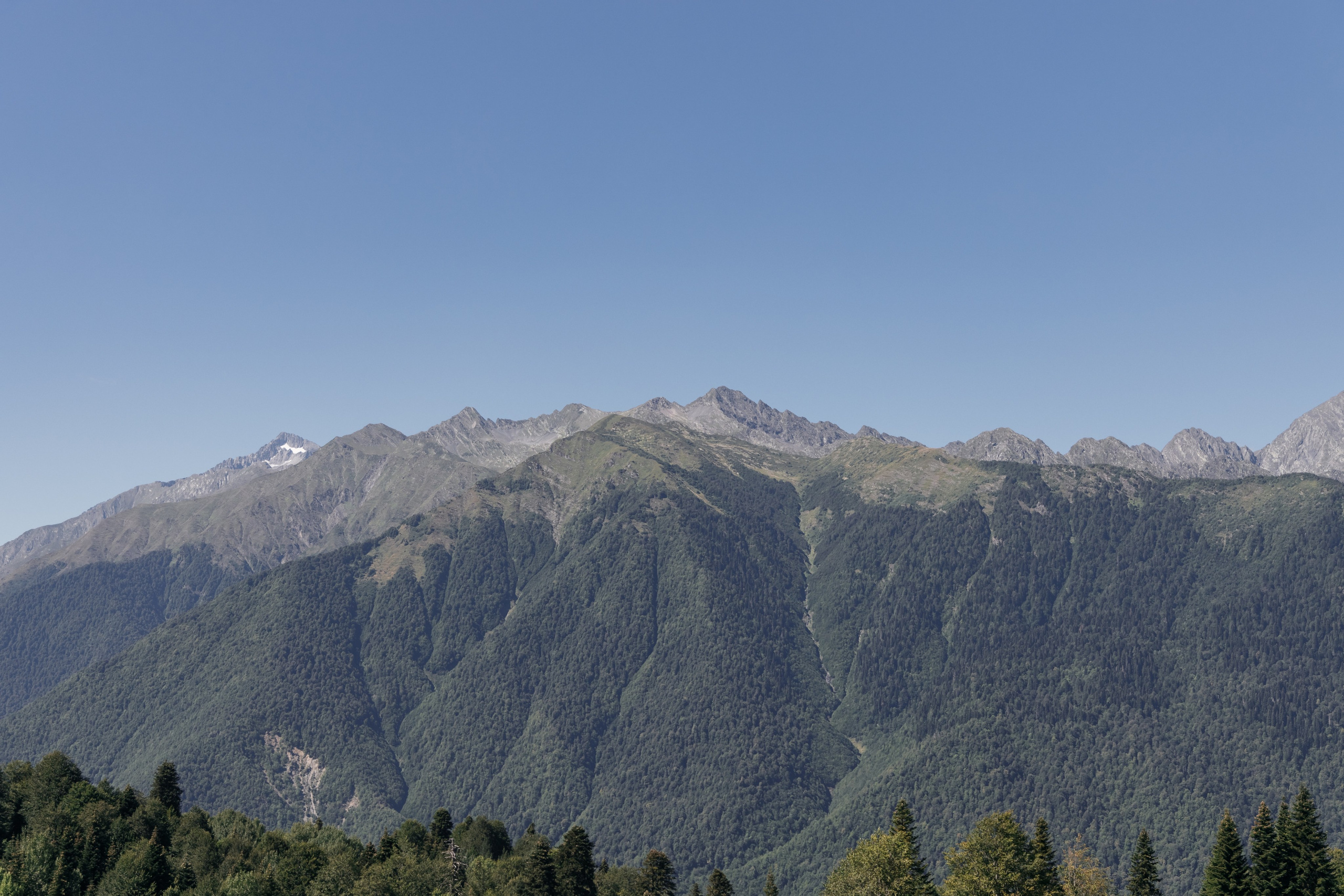 Свадьба в Сочи и в горах — фотограф Арманд. Свадебный фотограф в Абхазии, Сухум, Гагра, Сочи
