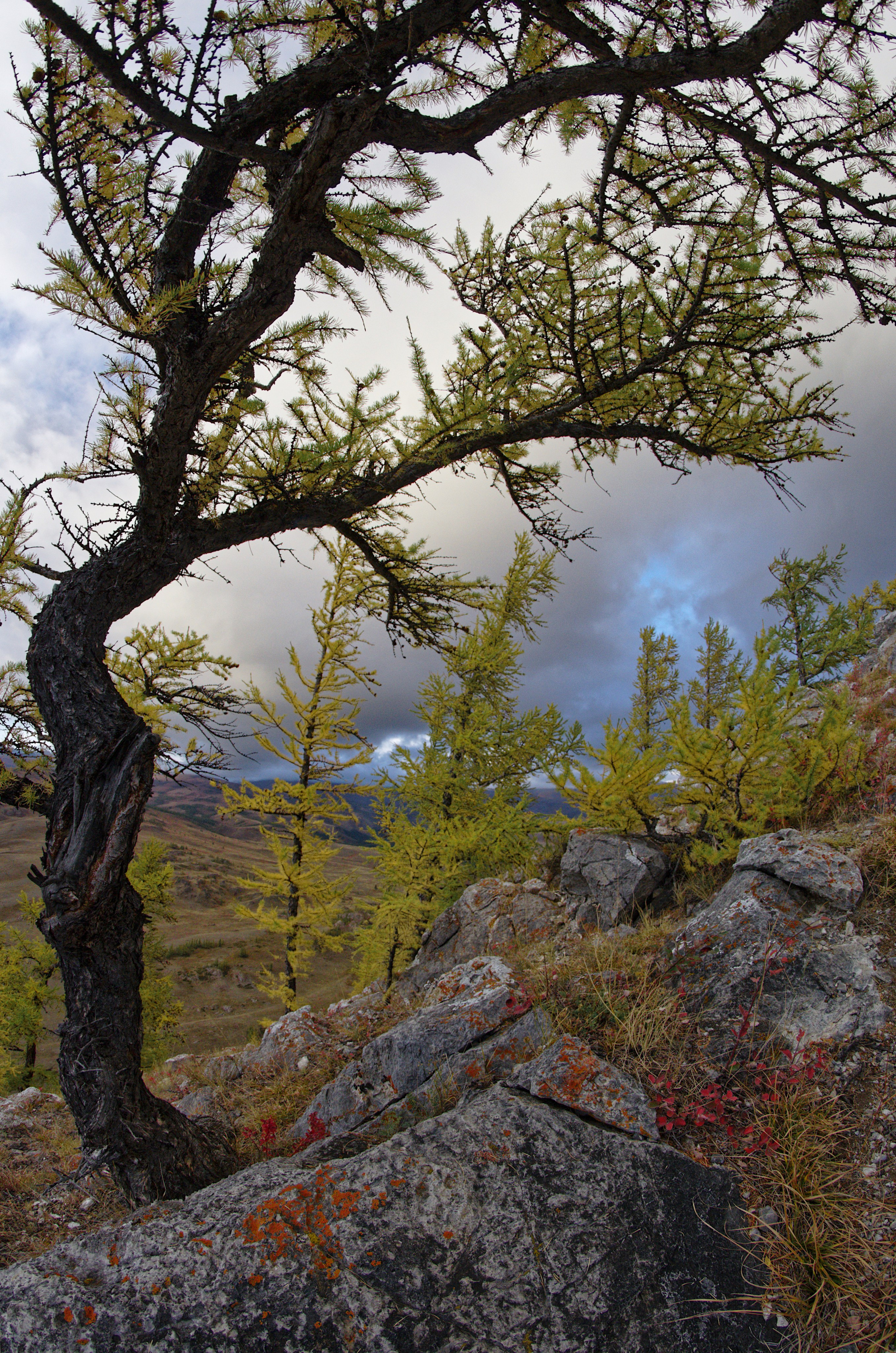 Это не фотошоп. Я видел это в горах Алтая. Семоха Валерий. Фотограф