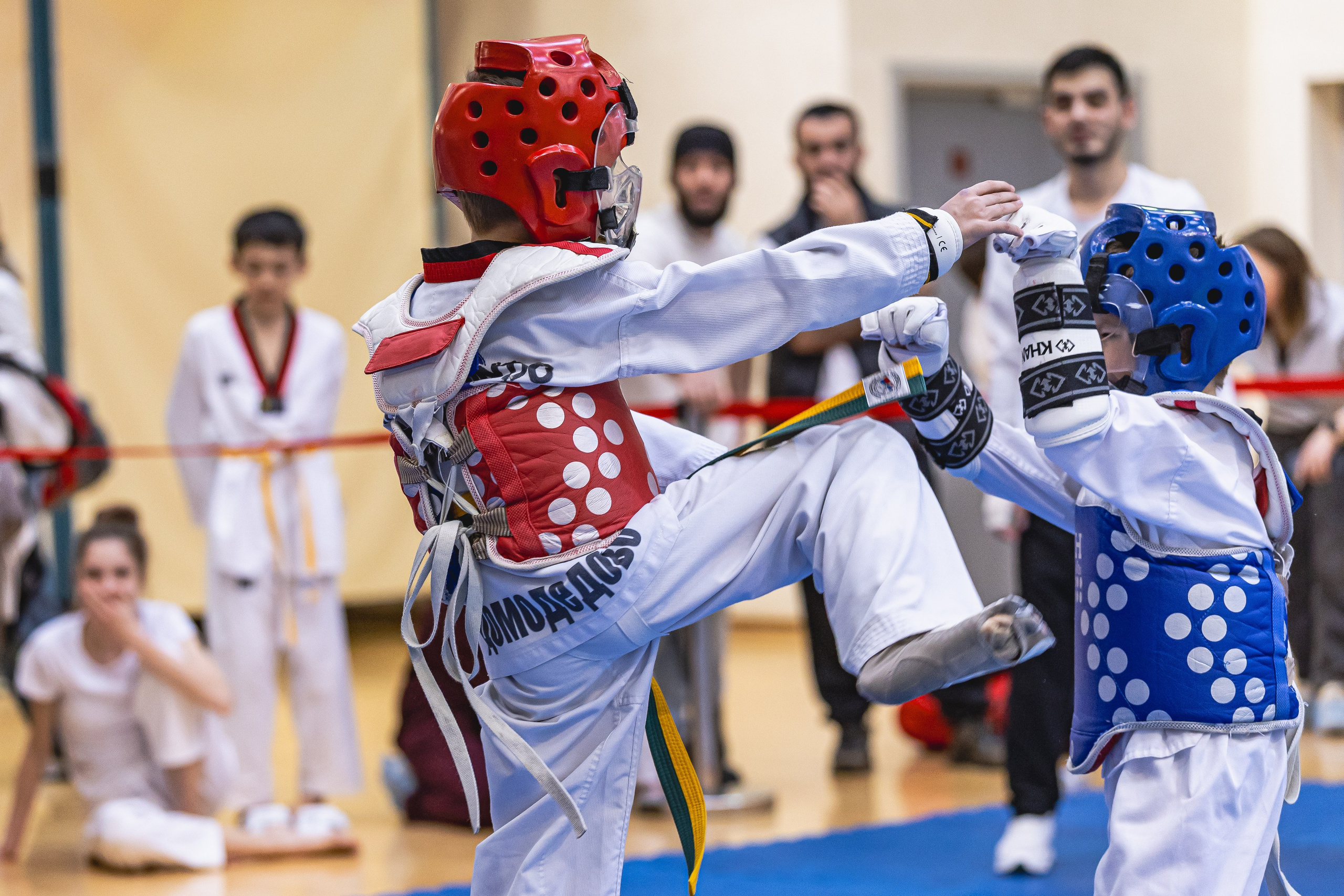 Турнир ВДЮФСОО «ФЕДЕРАЦИЯ ДЕТСКОГО ТХЭКВОНДО РОССИИ» и МОО СПКЕ «ЭРИДАН» по «СПОРТИВНОМУ БОЮ КЕРУГИ». Спортивный фотограф Максим Серегин