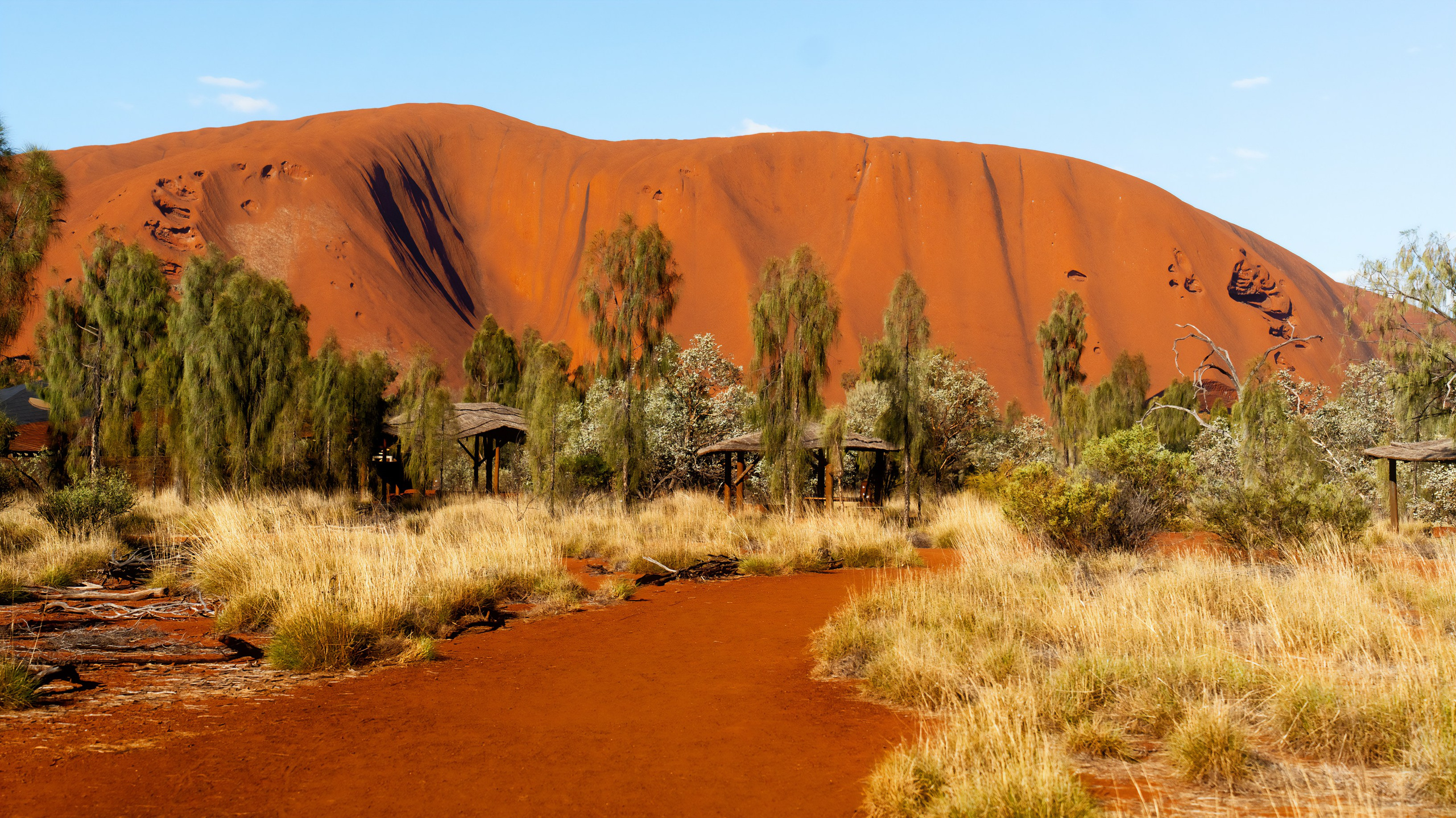 Фотограф в Хабаровске. Фотография за 24 часа