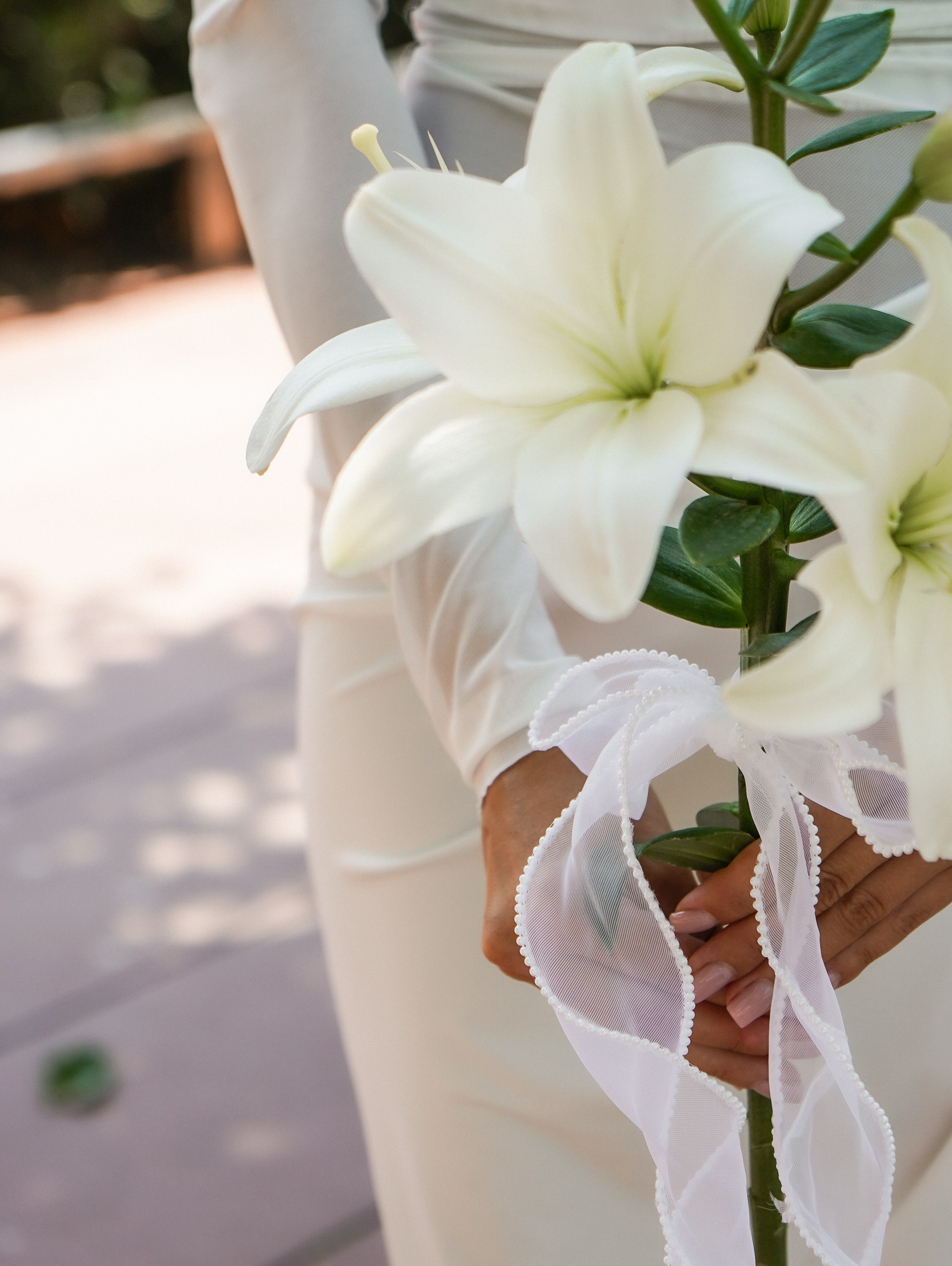 Фотограф и видеограф Зеленская Дарья