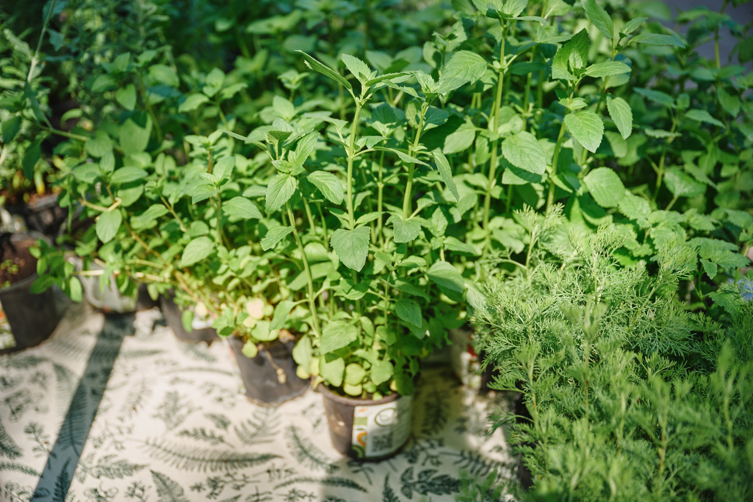 Ива фест 2025. Фотограф в Иваново: Каталожная съемка одежды и постельного белья, Wildberries