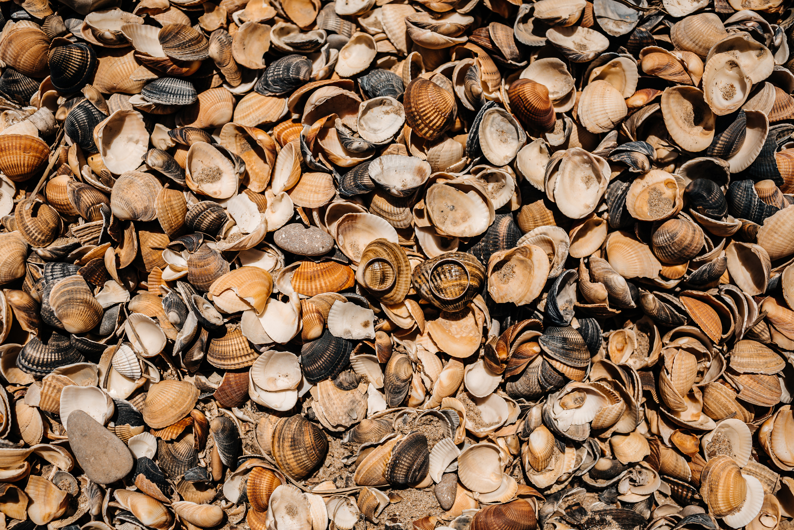 Пять длинных дней свадебного путешествия Тани и Миши в Дагестане. Wedding, romantic photo, family holidays. Workshops