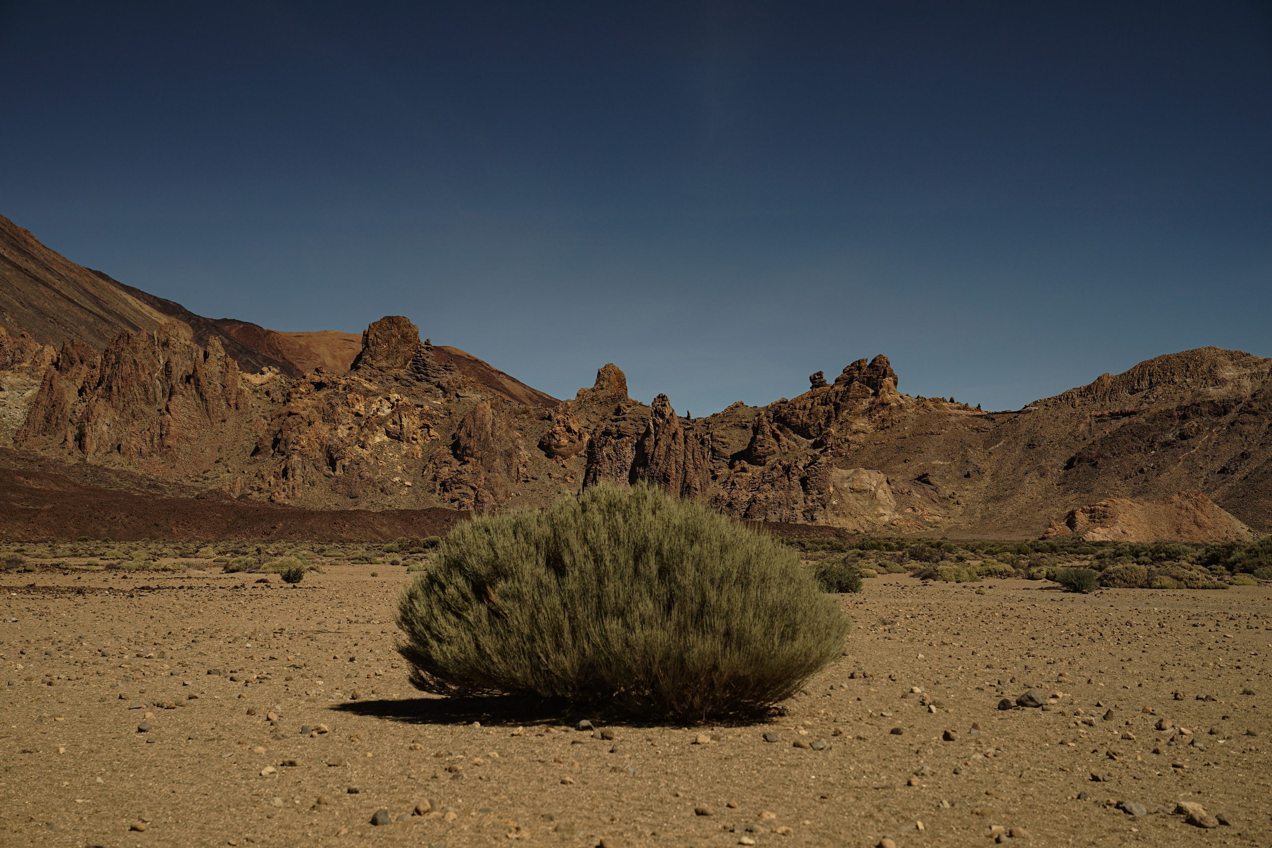 Tenerife. Фотограф и видеограф в Израиле Соня Скай