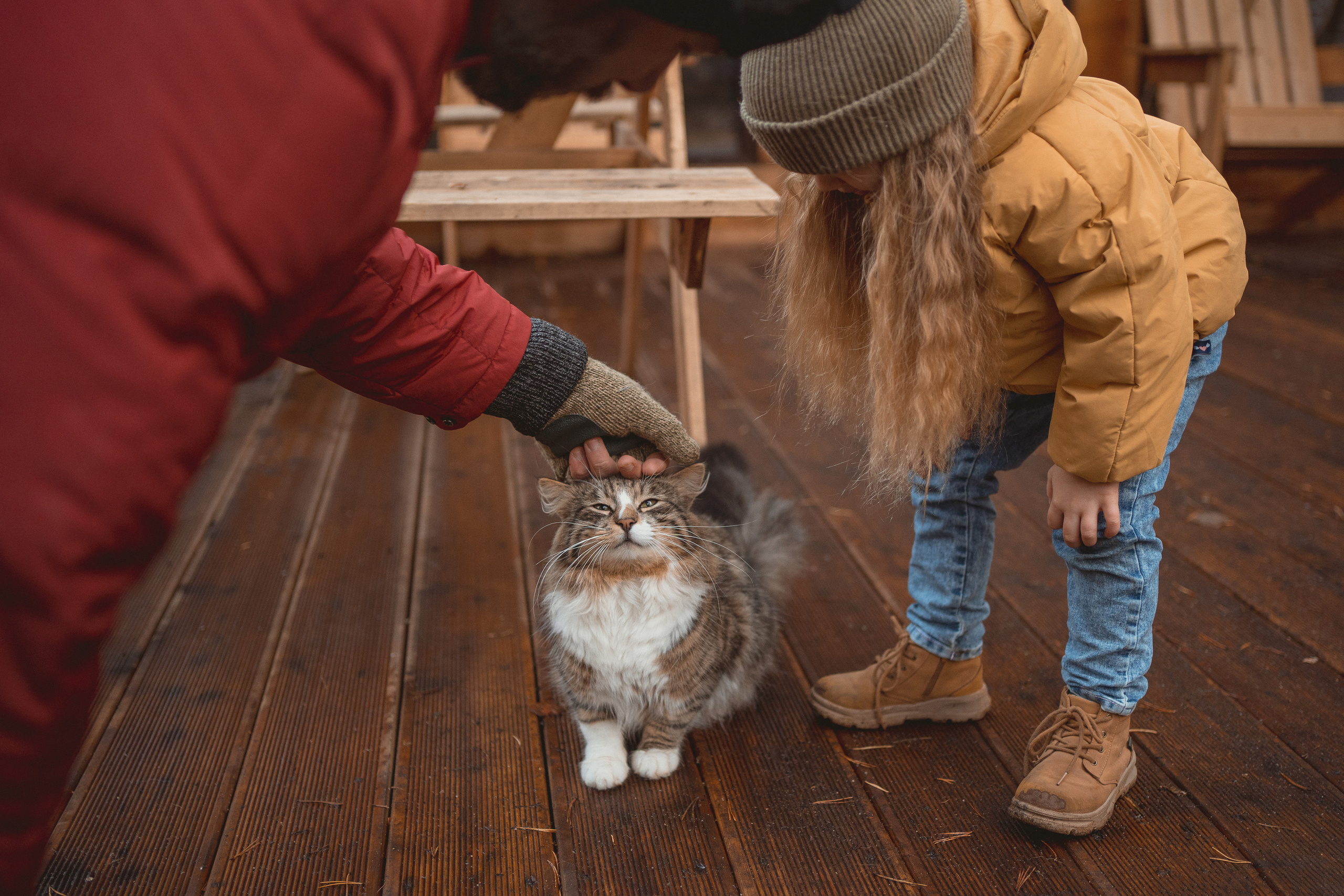 Прогулки. Фотограф в Петергофе