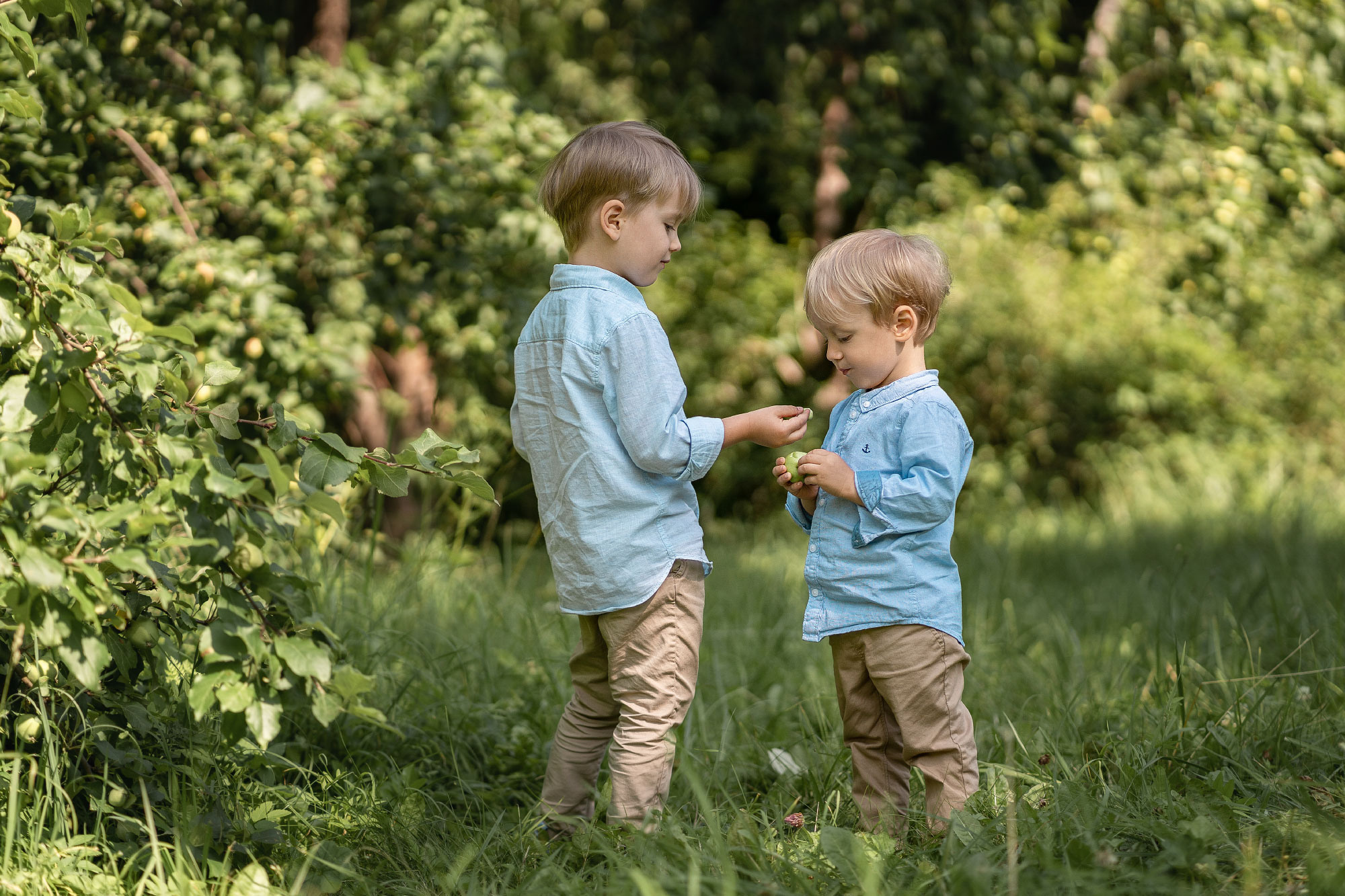 Прогулки. Фотограф в Петергофе