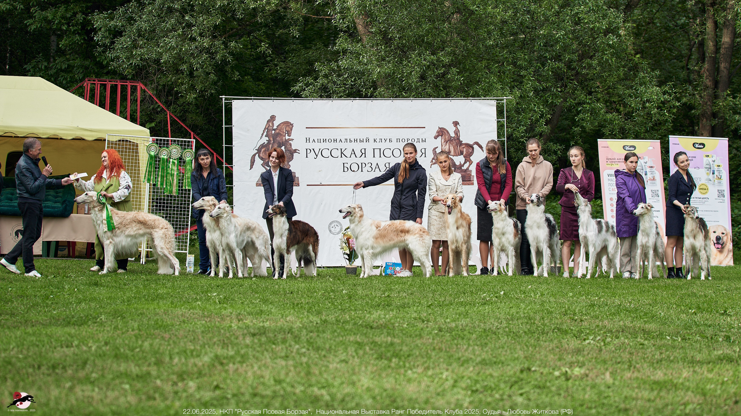22.06.2025 | Национальная Выставка НКП "Русская Псовая Борзая"