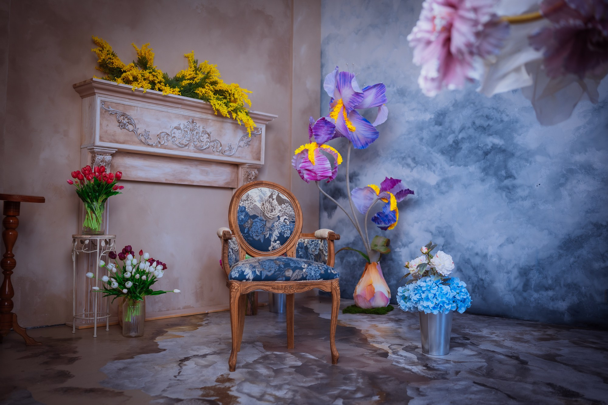 Фотостудия интерьерная в Туле — Давинчи |Davinci