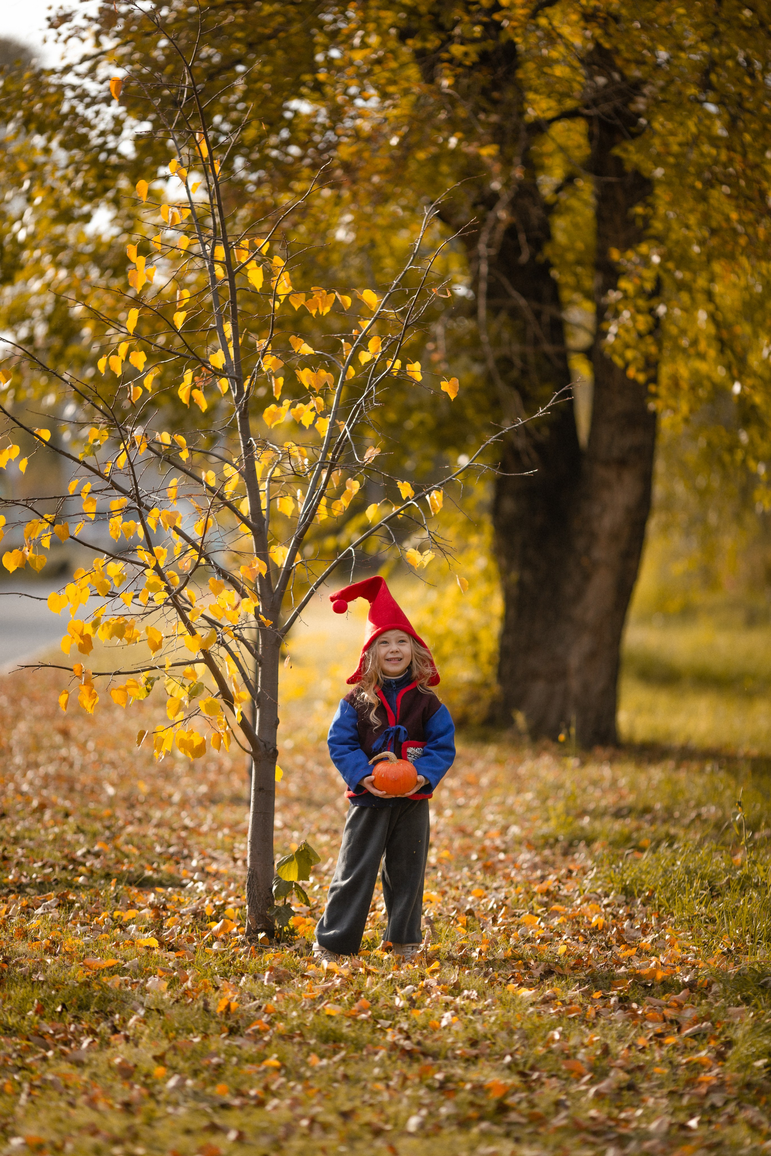 Лесные гномы