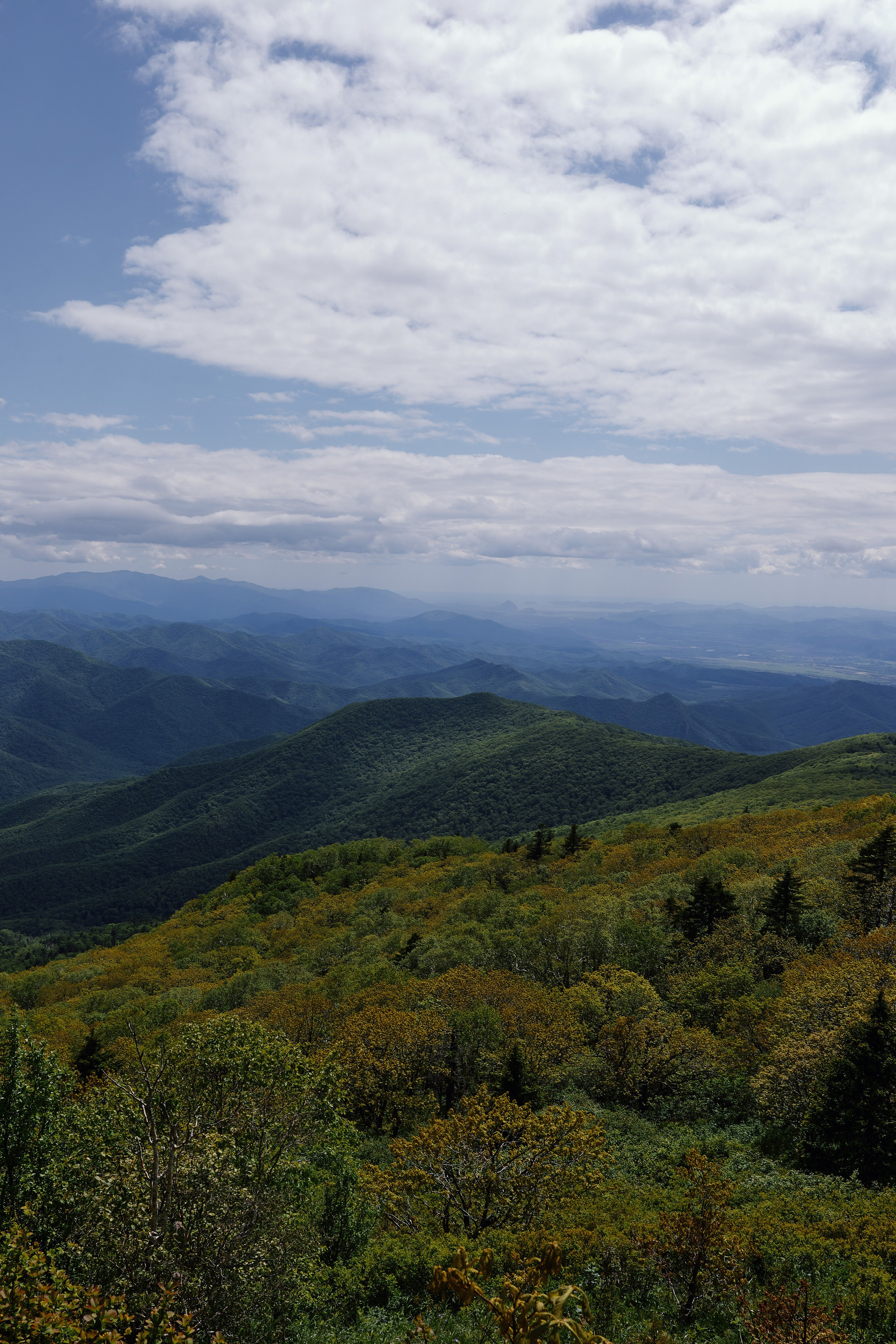 Вертикальный летний горный пейзаж