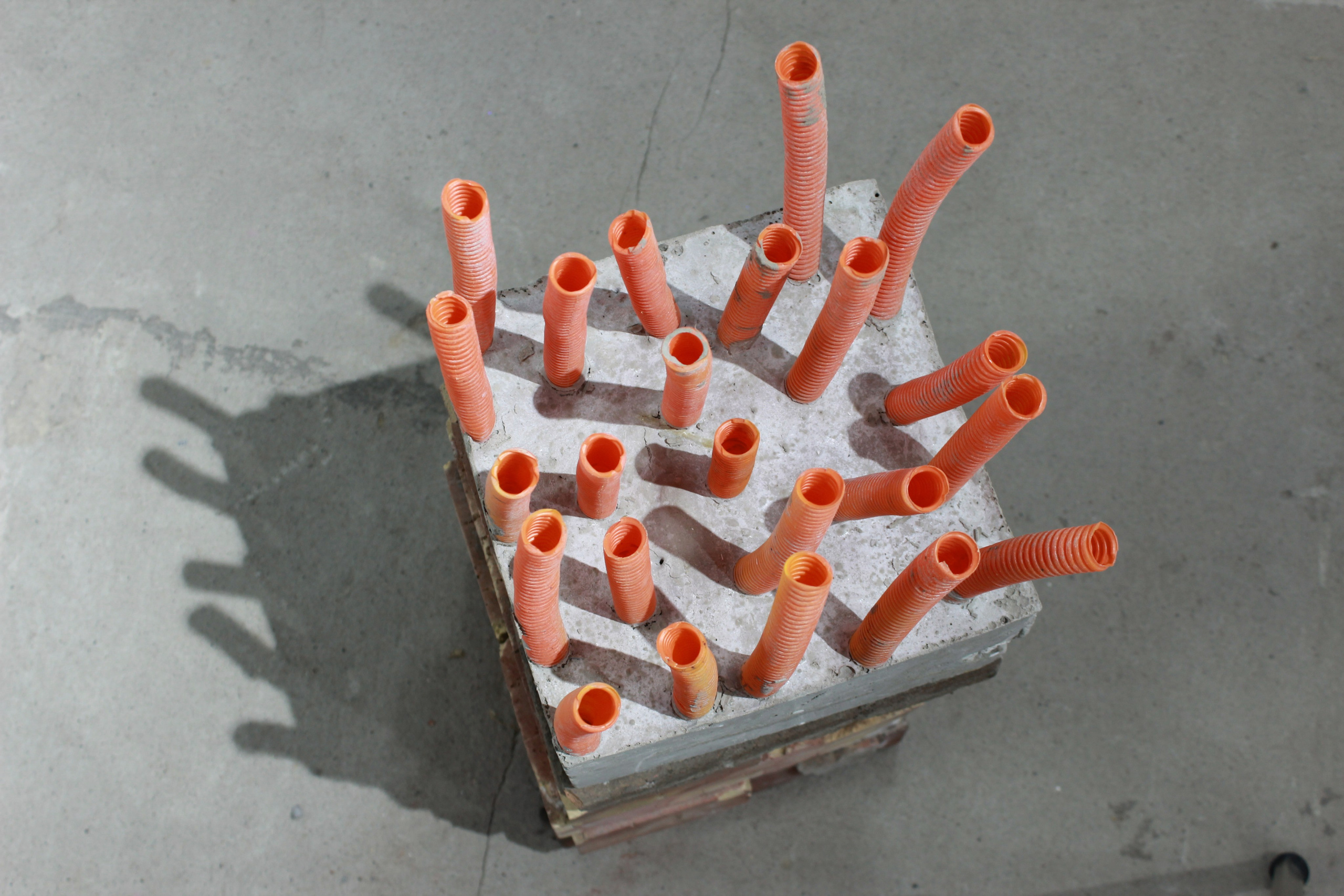 «Генетический код» Алматы 2019. Лилия Ким. Междисциплинарный художник