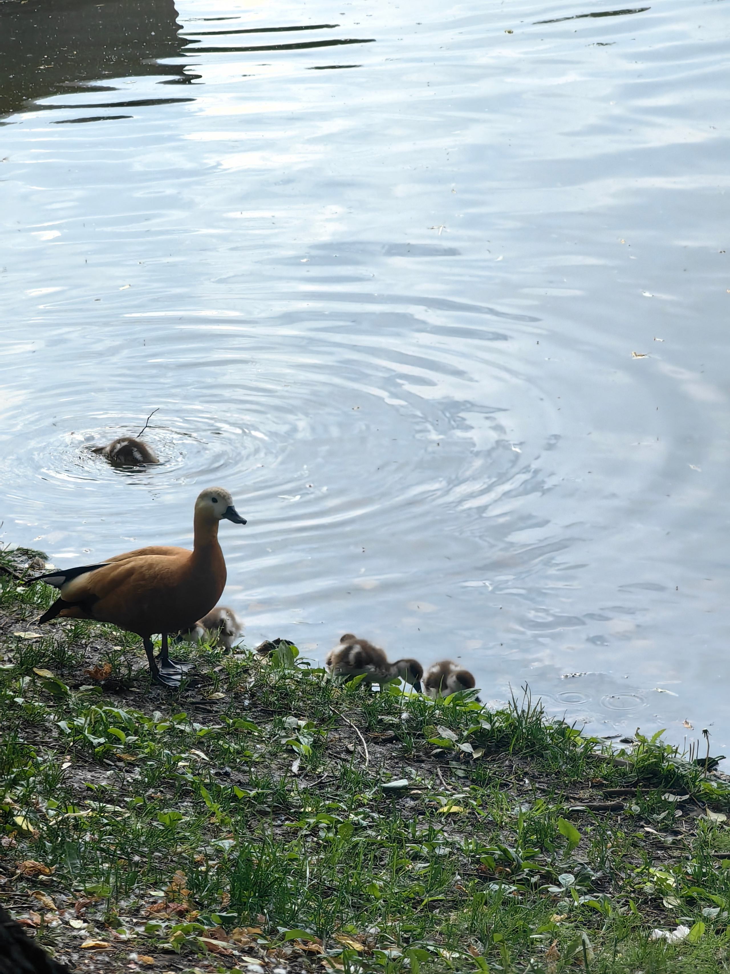 Парк ЕКАТЕРИНИНСКИЙ обзор. Фотограф в Москве и Московской области (Ю-В) Олеся Макарова