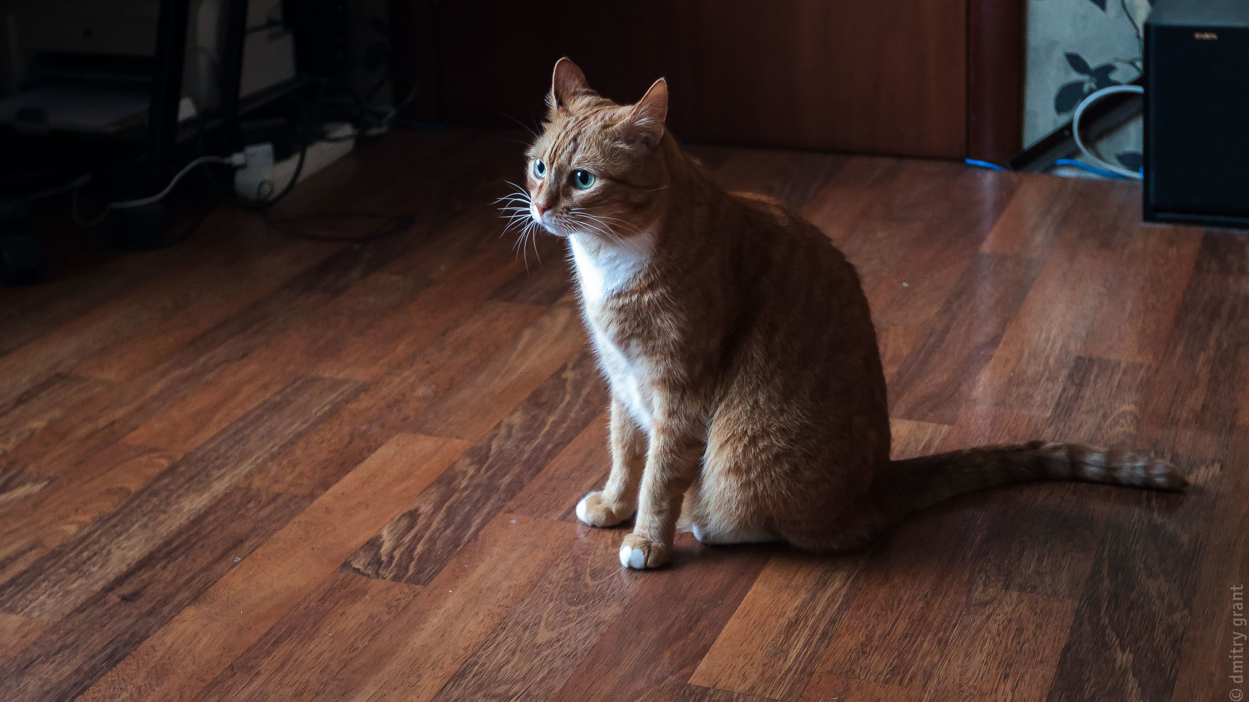 Анна + Артем. Фотограф Дмитрий Грант