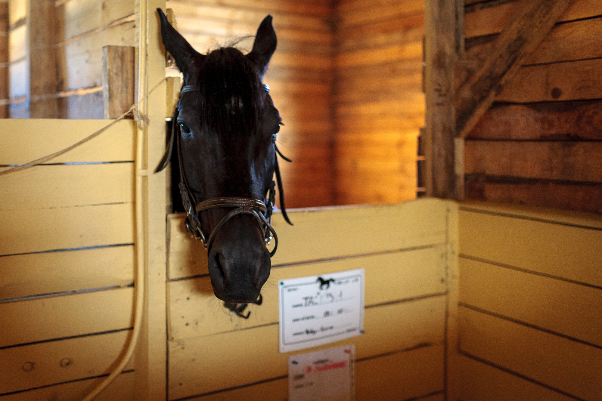 ДОРОГИ ЛЮБВИ. Фотограф Дмитрий Грант