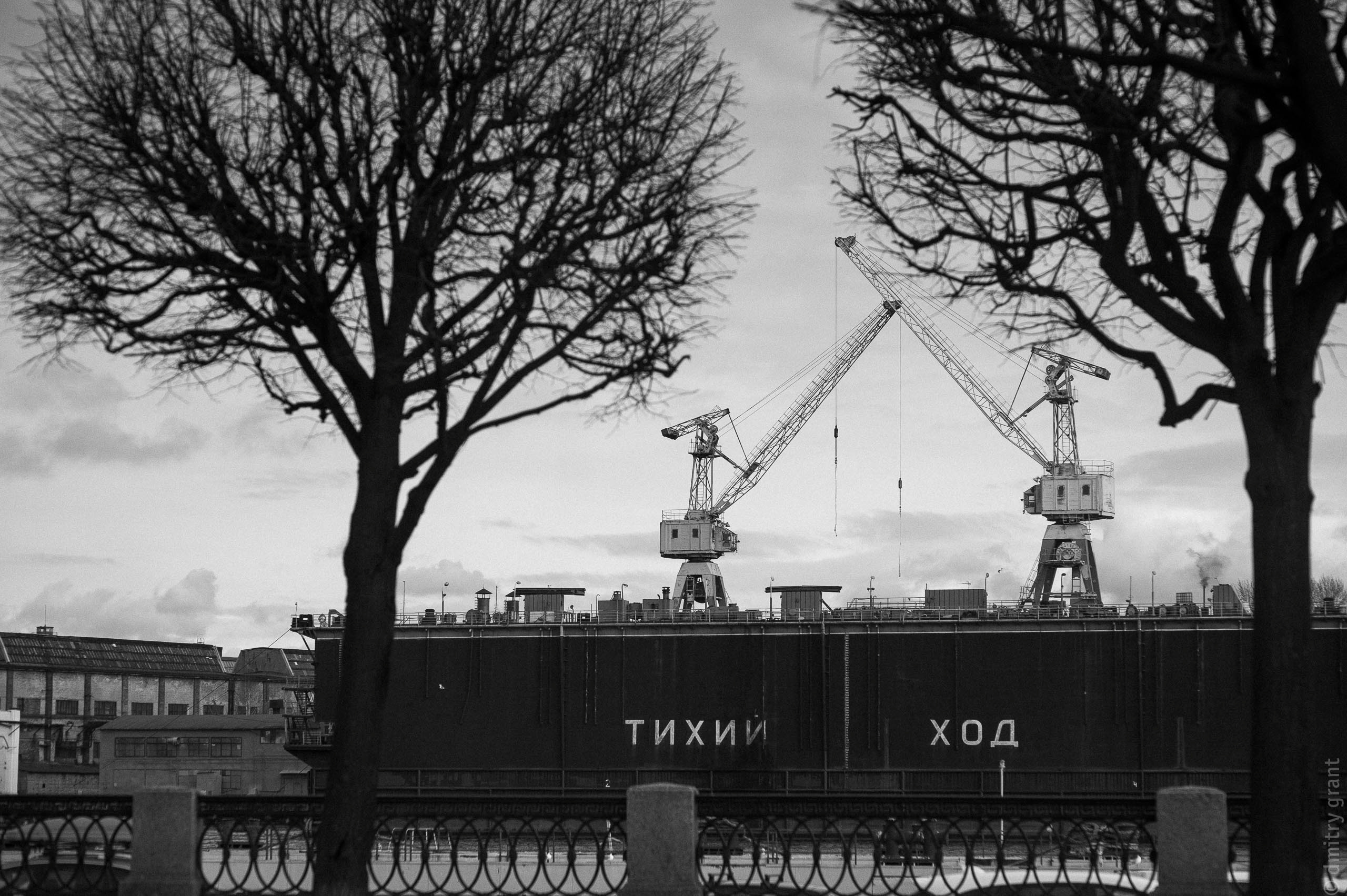 Полина + Хартмут. Фотограф Дмитрий Грант