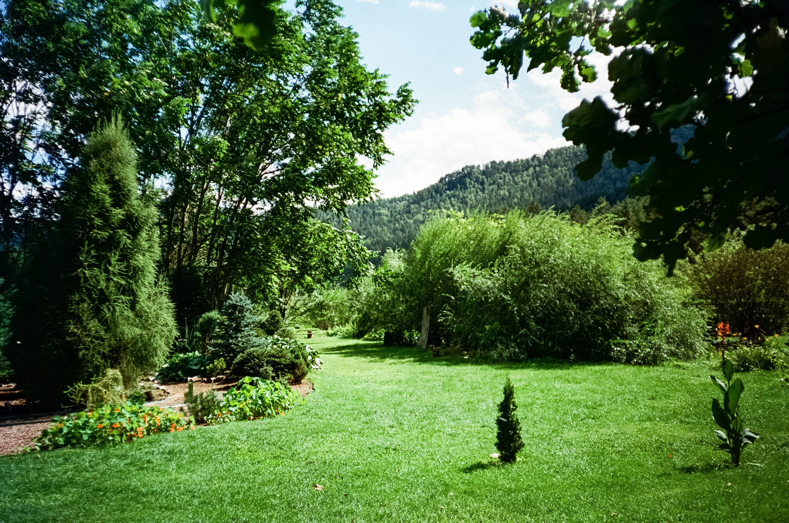 Ботанический сад в солнечный день. Фотограф-документалист Мария Осокина