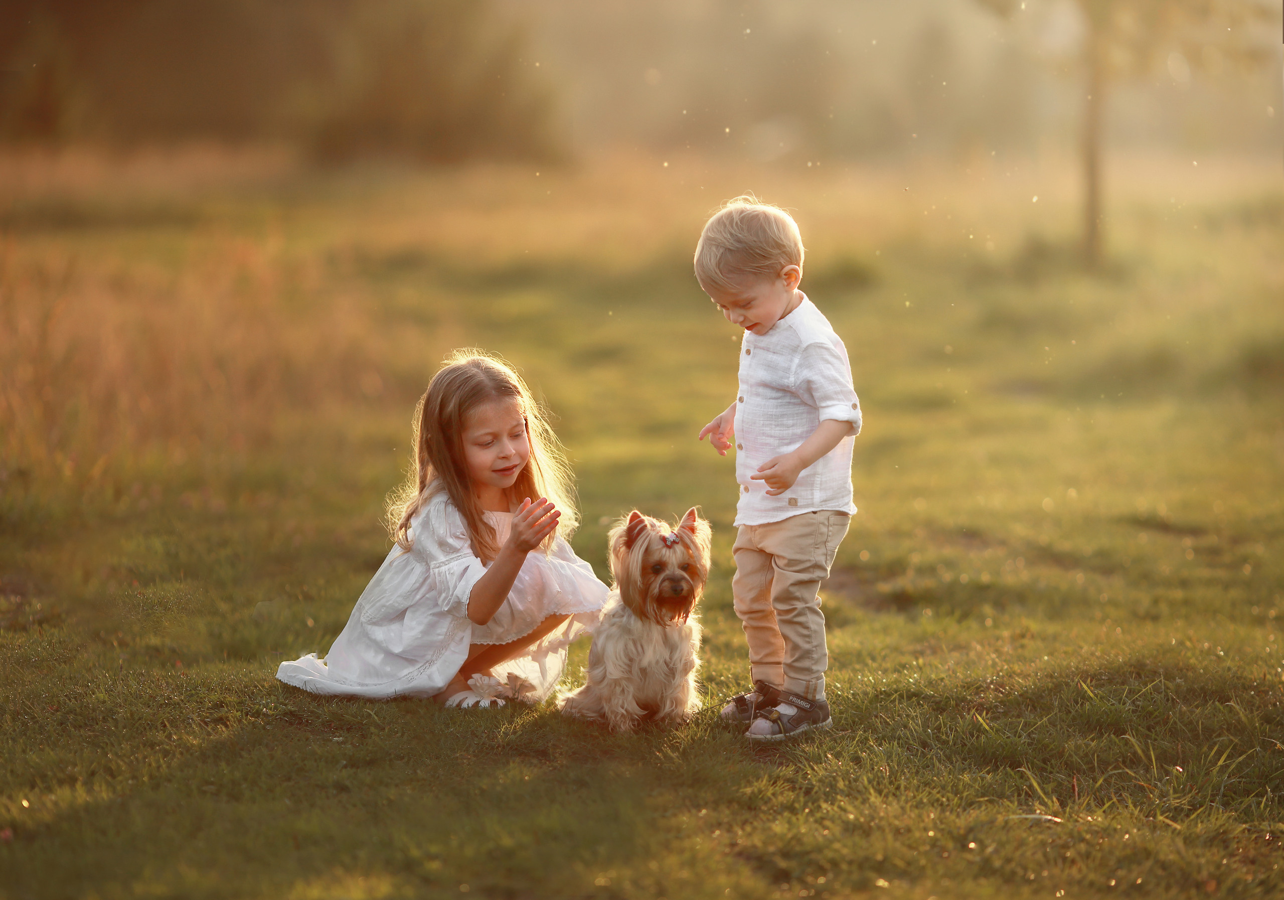 Онлайн-курс «Художественная ретушь фотографий». Ольга Котова