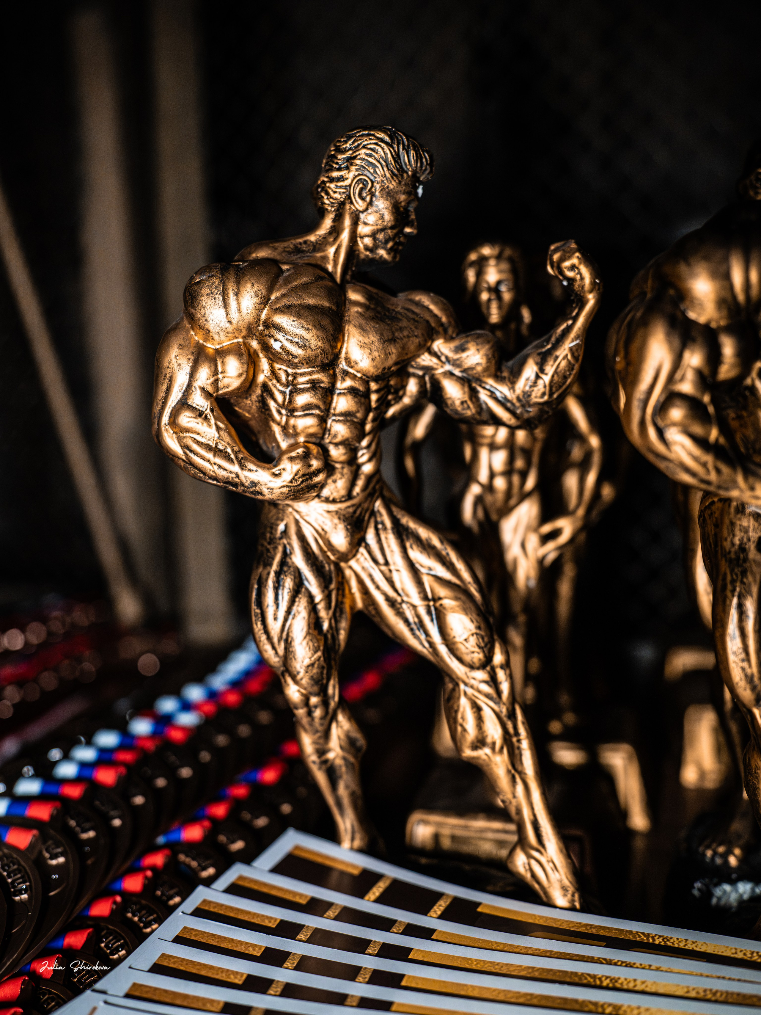 NPC WORLDWIDE RUSSIA/IFBB PRO LEAGUE