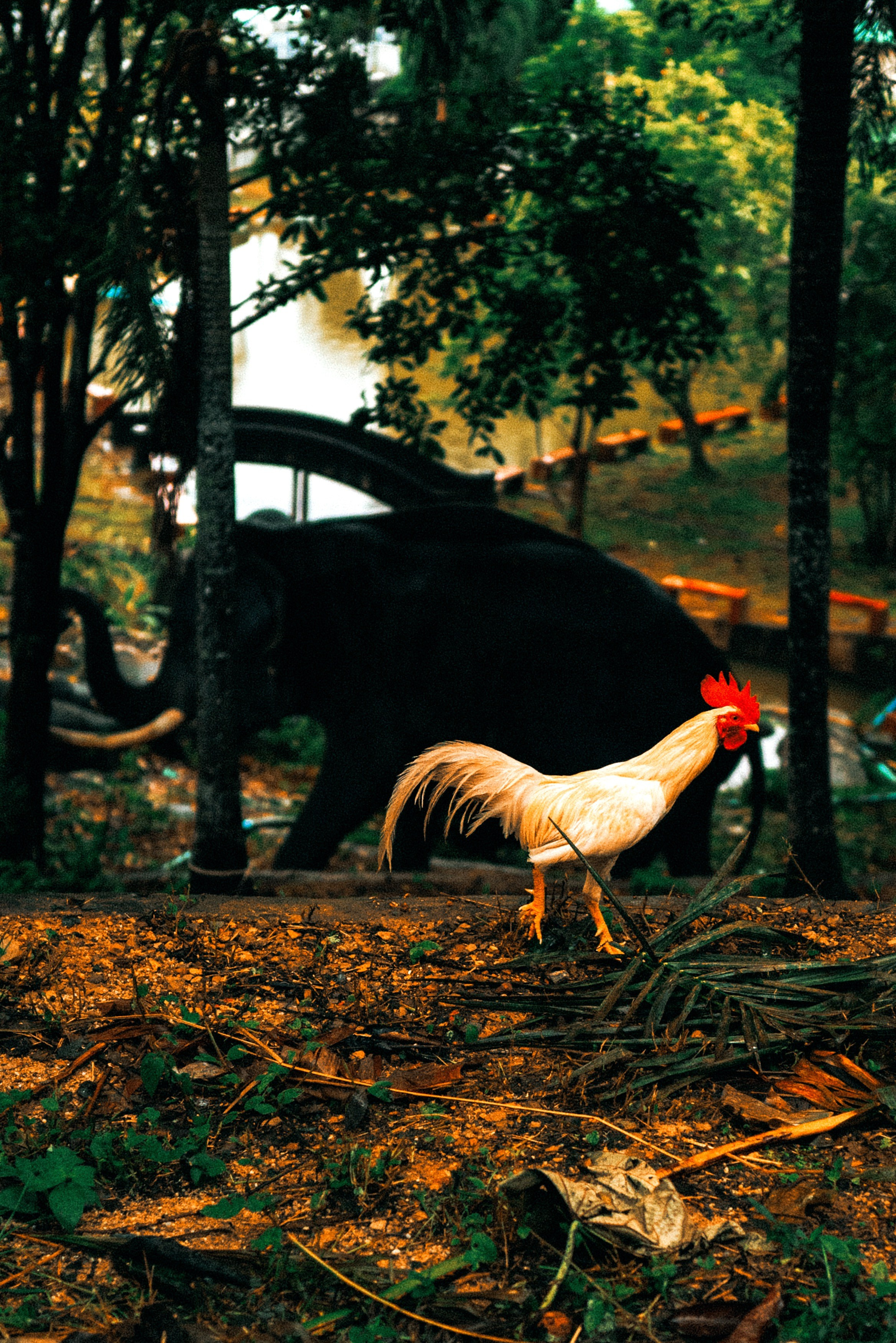 AUTHENTIC FILM. Visual artist Daniil Kontorovich