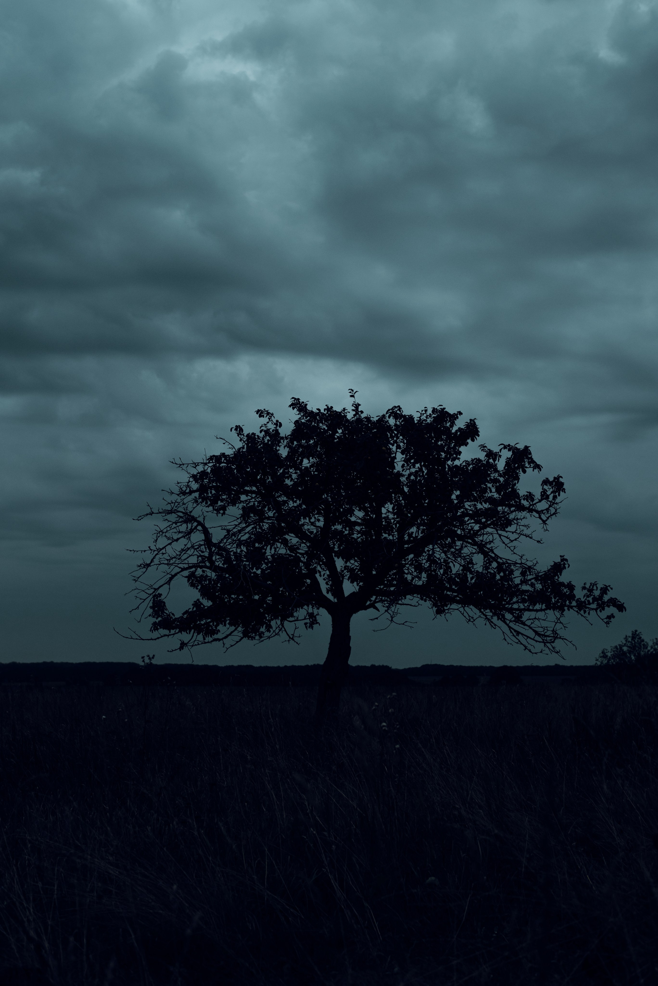 Фотограф в Орле и в Змиевке Екатерина Ельцова