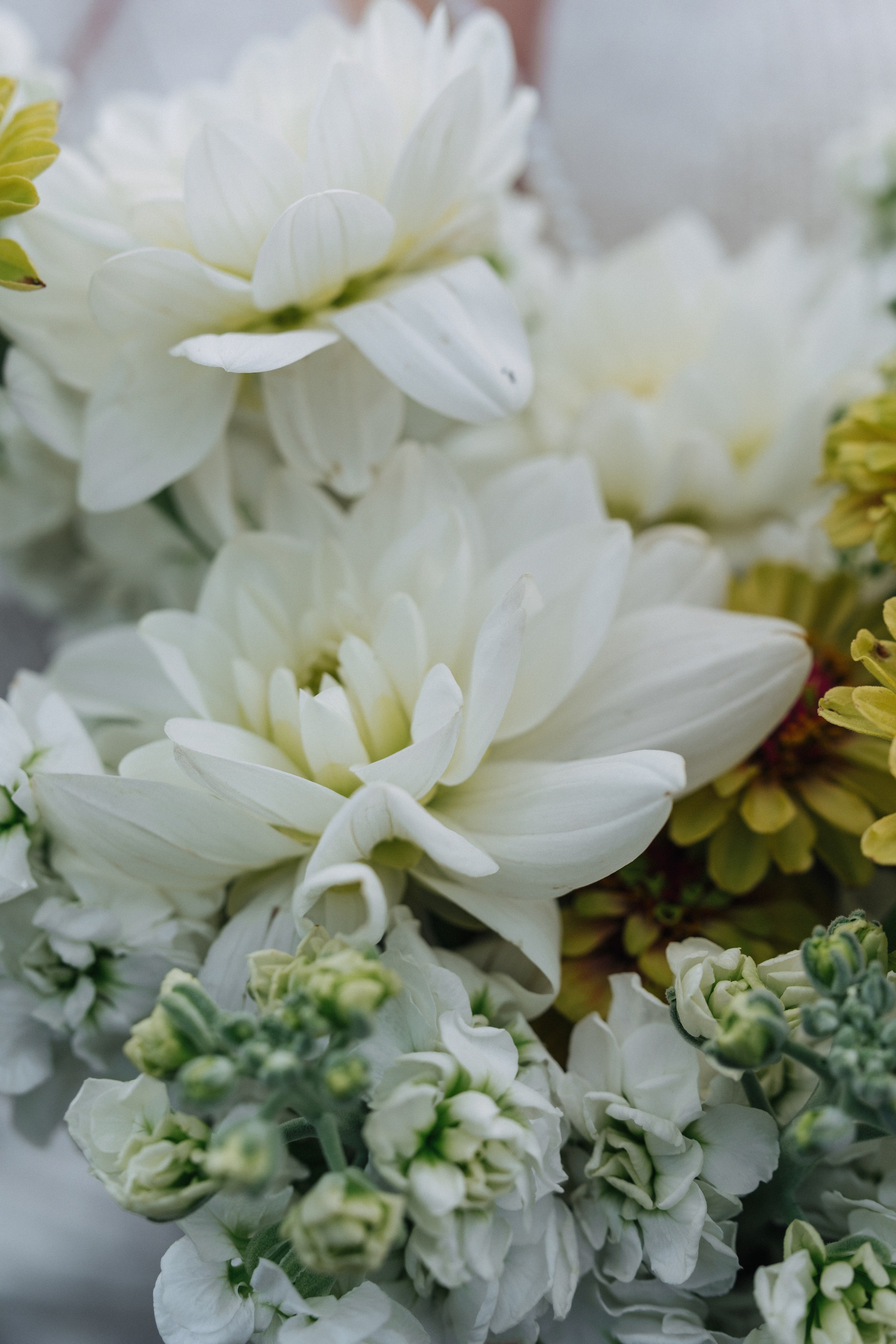 Эдуардо и Люси, свадебная фотосессия. Фотограф в Алматы — Алексей Коньков | Репортаж, свадьбы, портреты