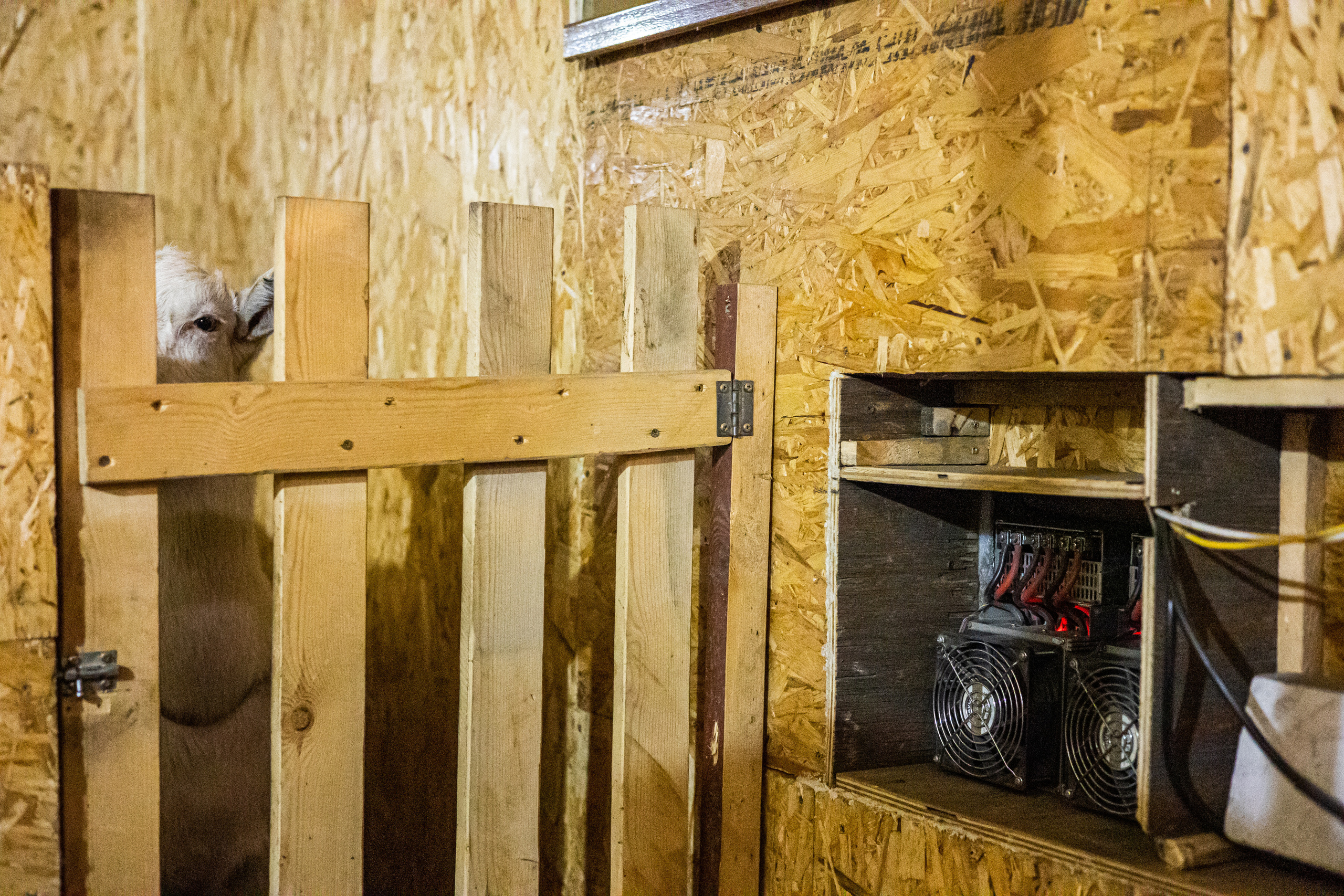 Криптоиркутск. Антон Климов, документальный фотограф, Иркутск