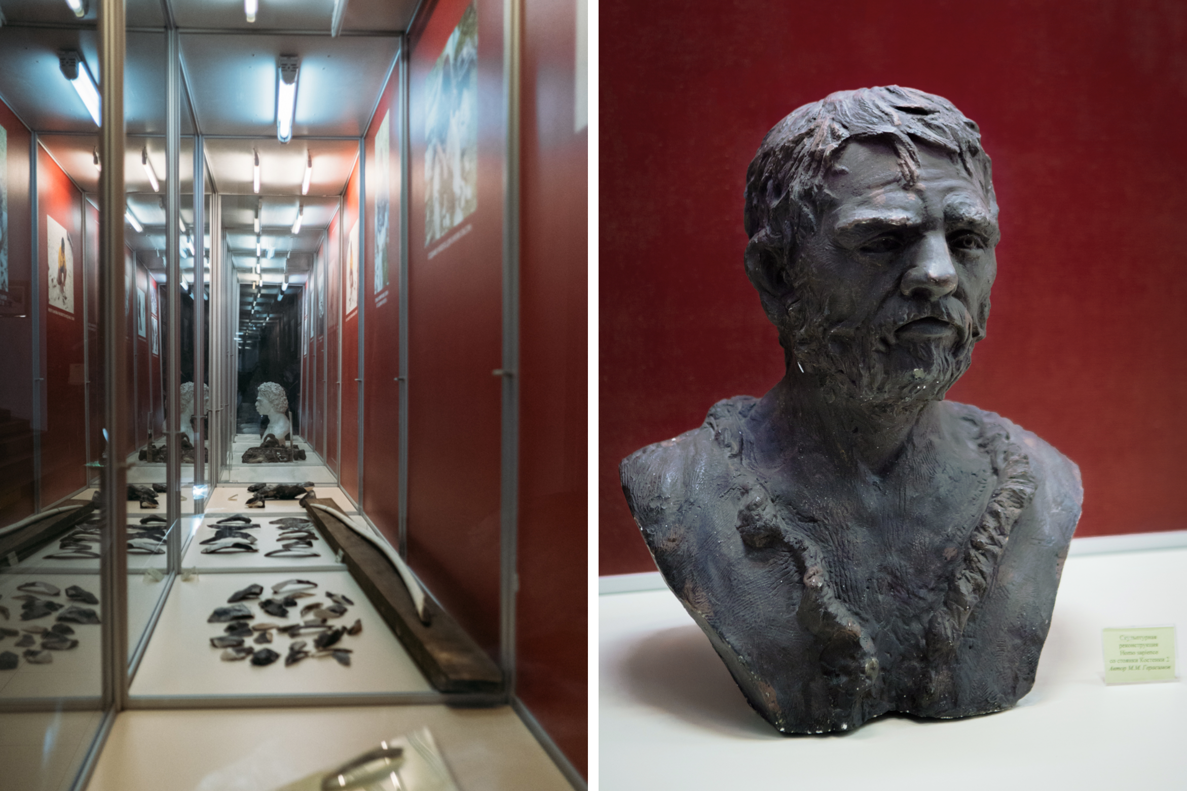 Мамонт в погребе. Фотограф Ольга Кардашова