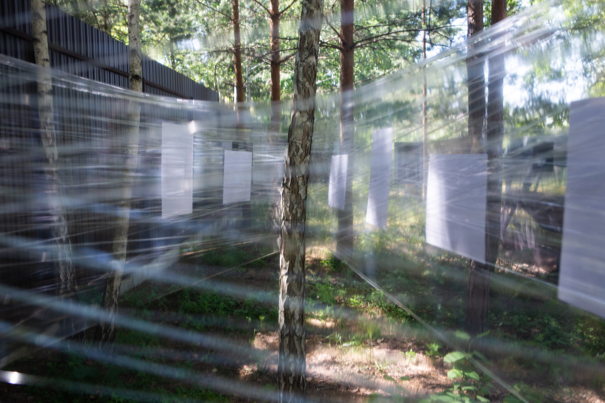 A Map. Documentary photographer Olga Kardashova