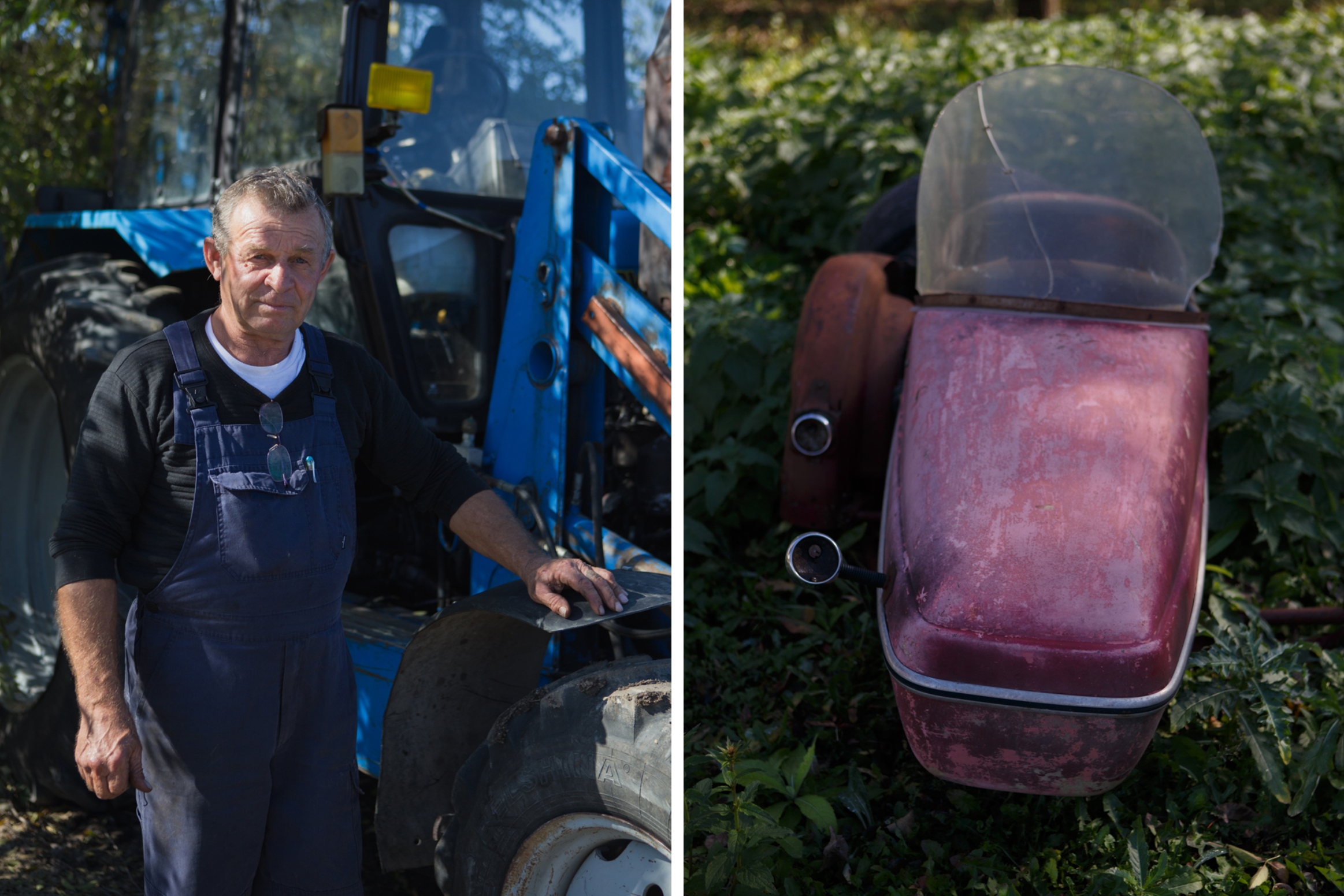 Мамонт в погребе. Фотограф Ольга Кардашова