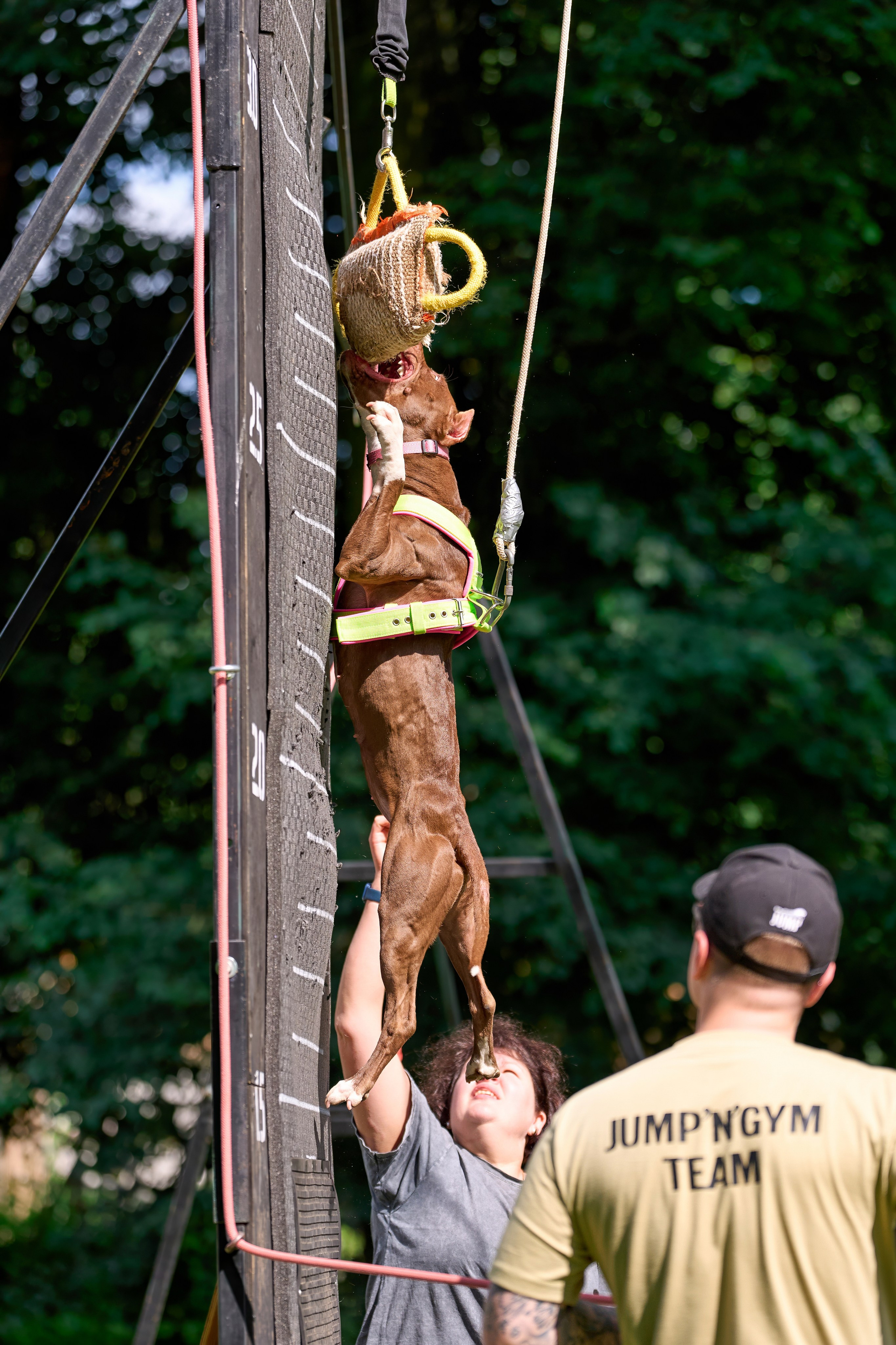 Двухдневные соревнования «Jump'n'Gym Fest — 2024». Фотограф-анималист Михаил Манухин