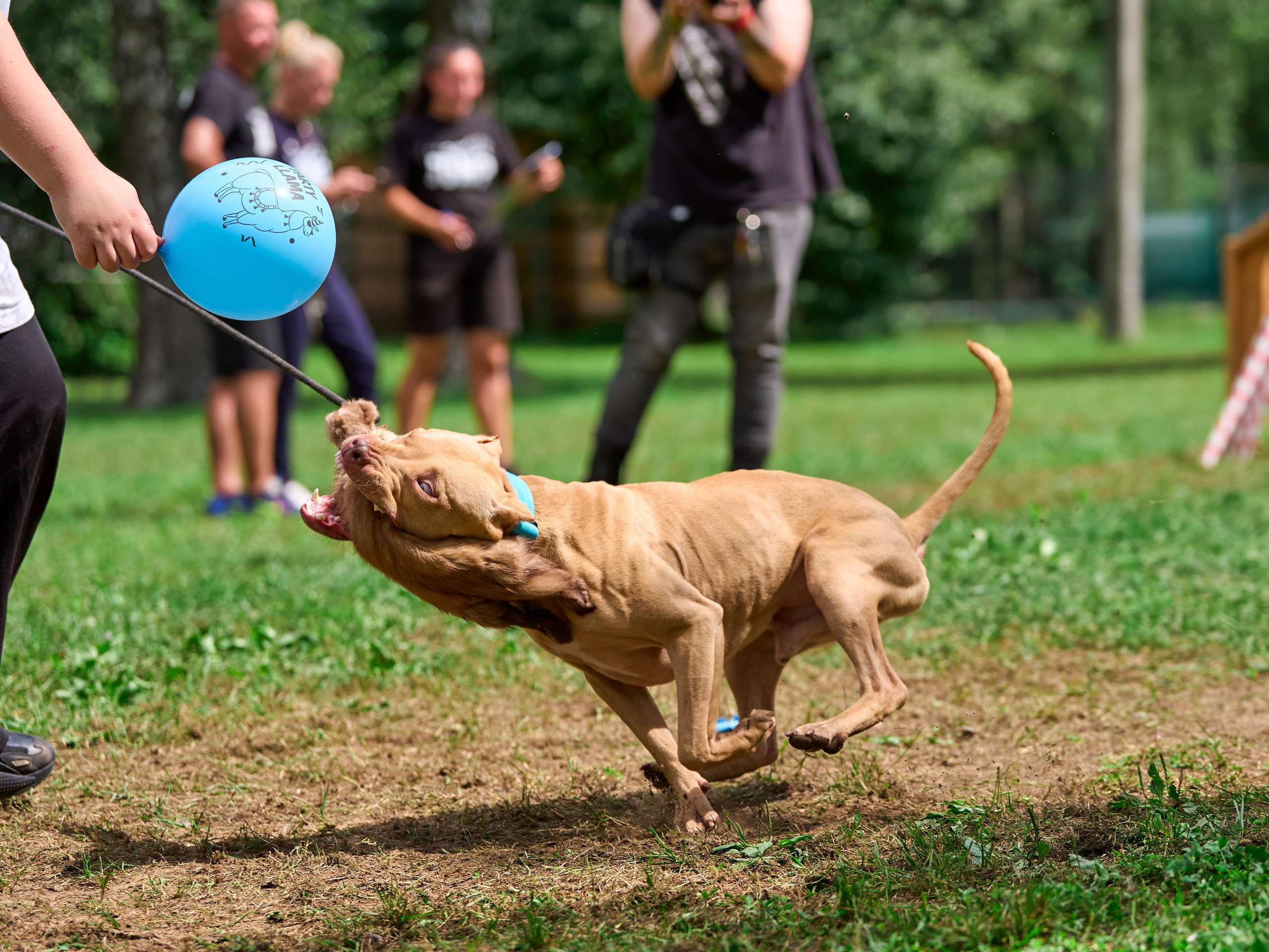 Jump'n'Gym JUMP! — 2024. Фотограф-анималист Михаил Манухин