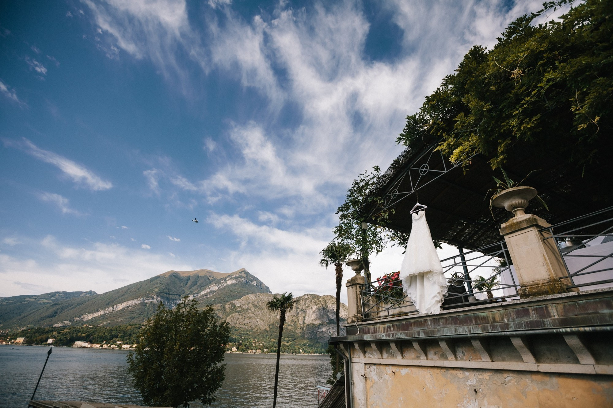 Ярослав и Дарья