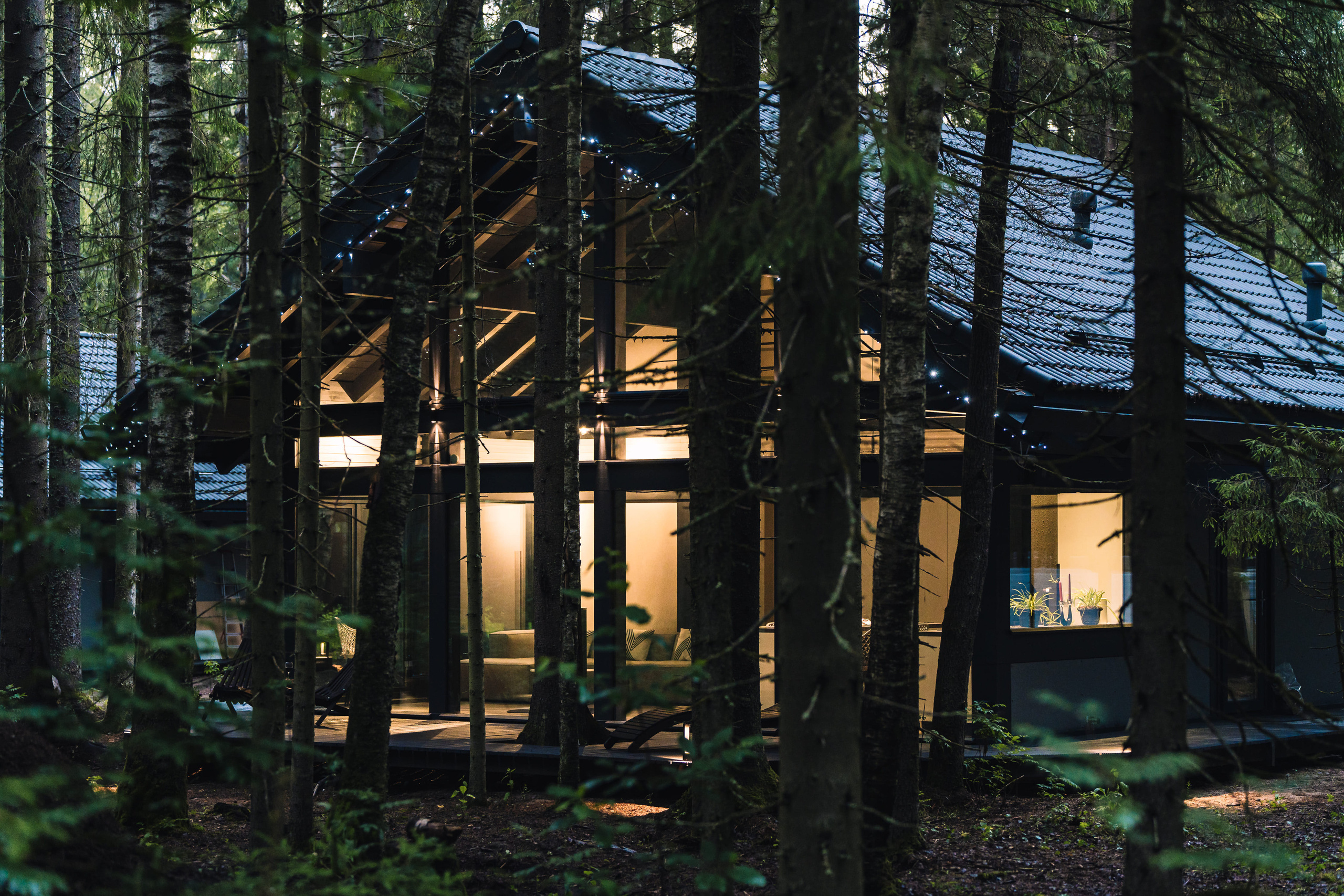 Дом в лесу. Святослав Буньков | фотограф