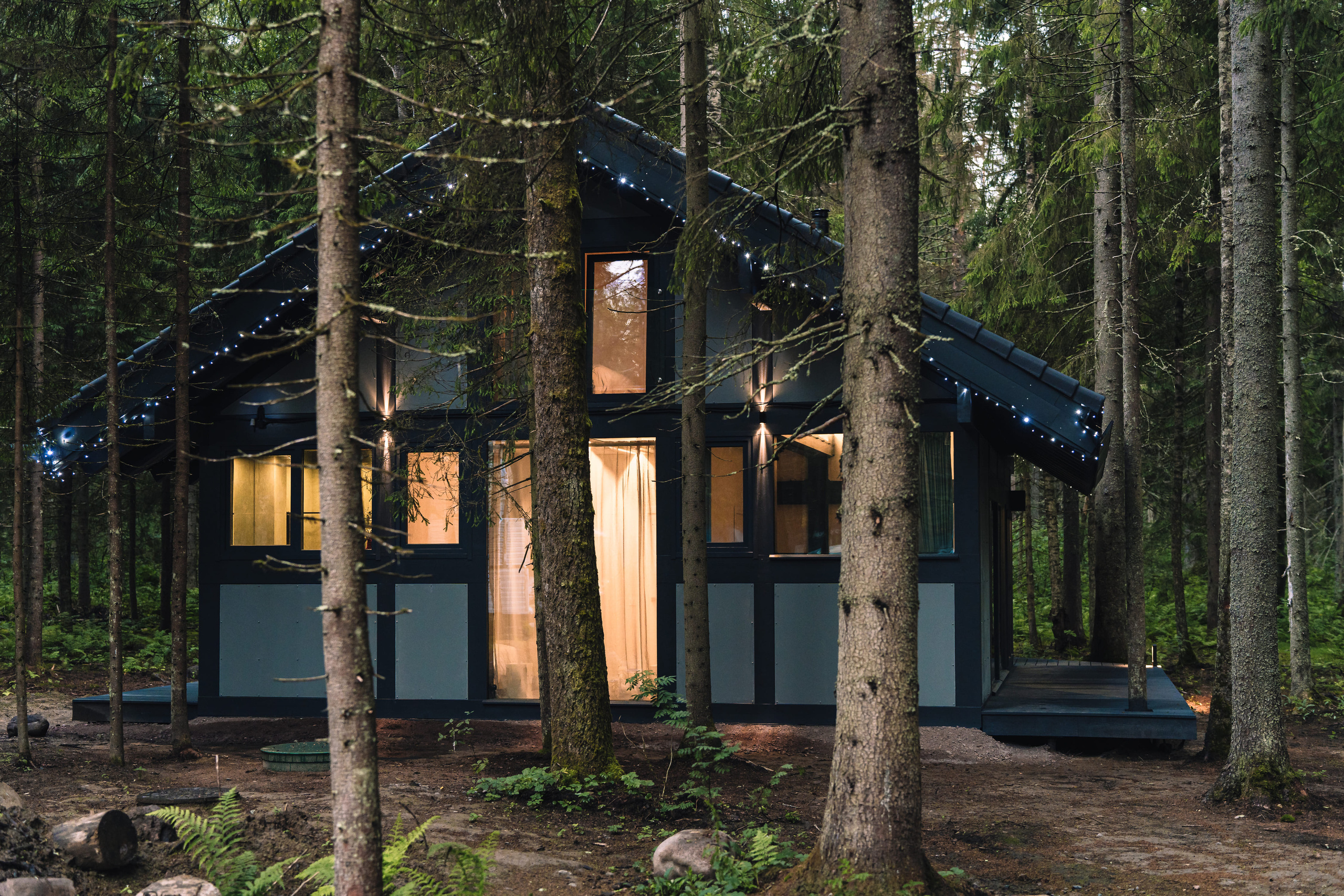 Дом в лесу. Святослав Буньков | фотограф