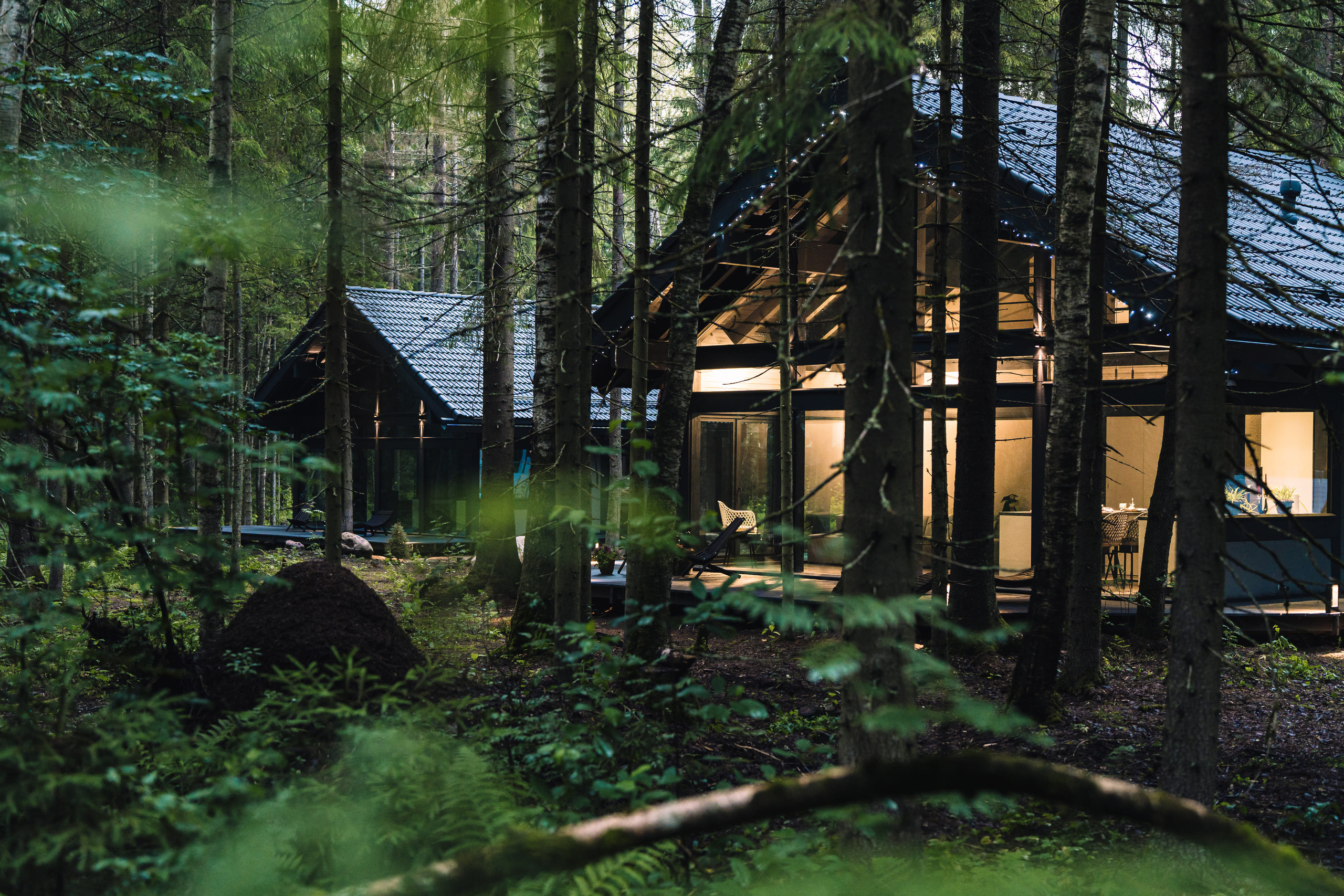 Дом в лесу. Святослав Буньков | фотограф