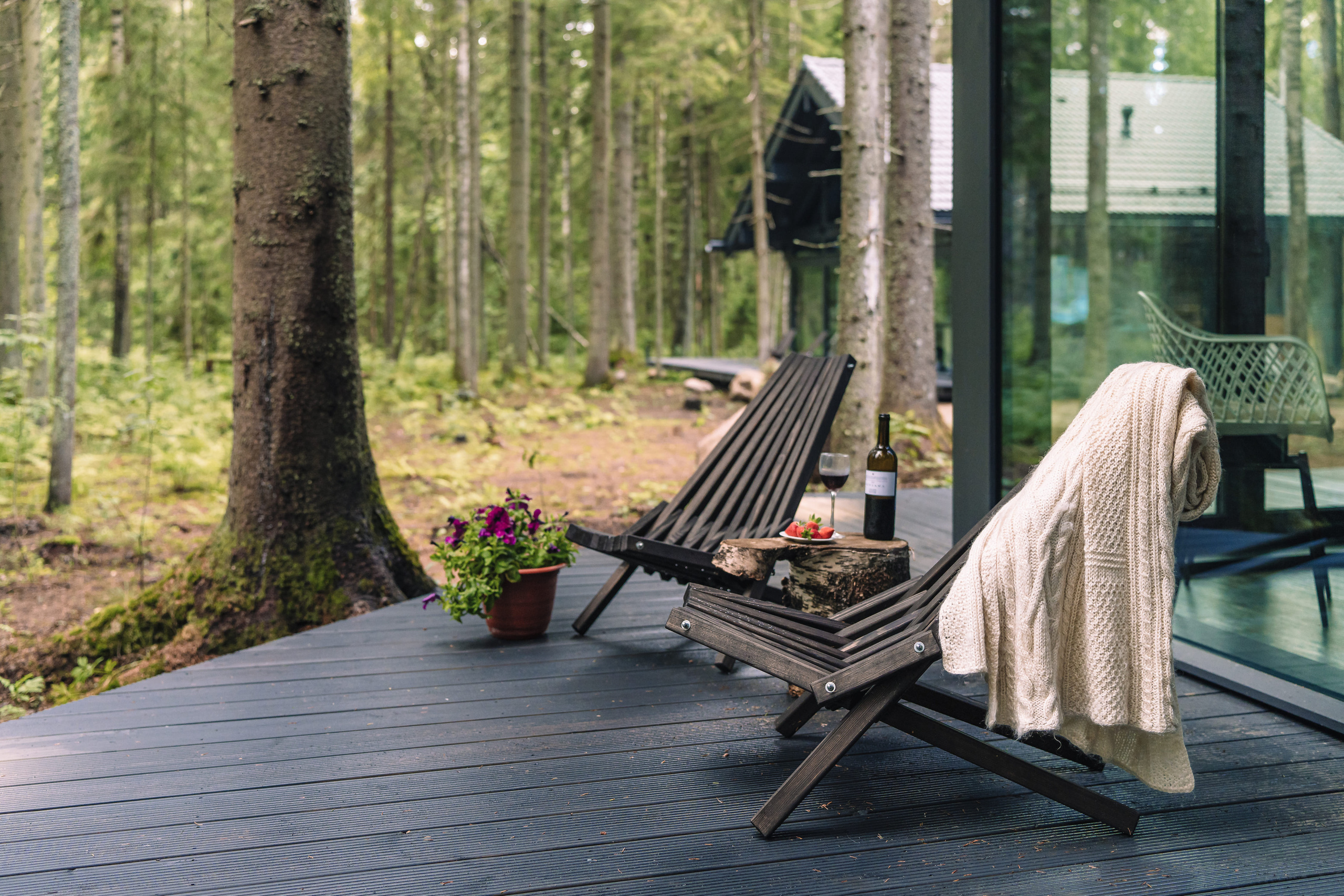 Дом в лесу. Святослав Буньков | фотограф