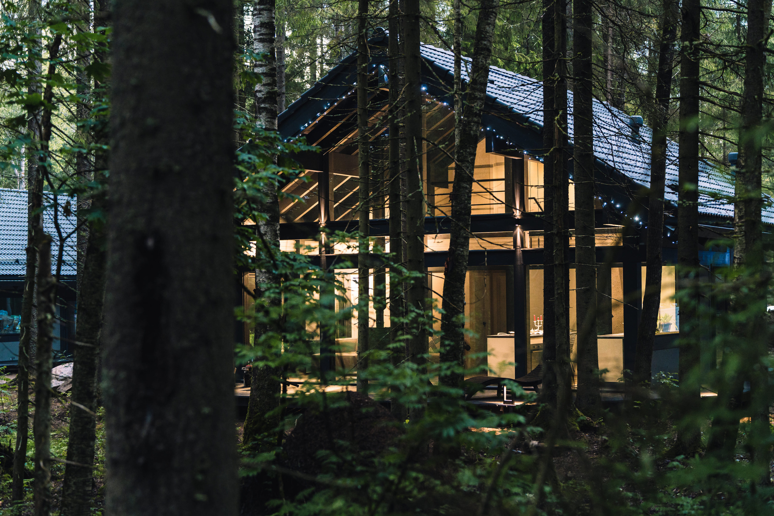 Дом в лесу. Святослав Буньков | фотограф