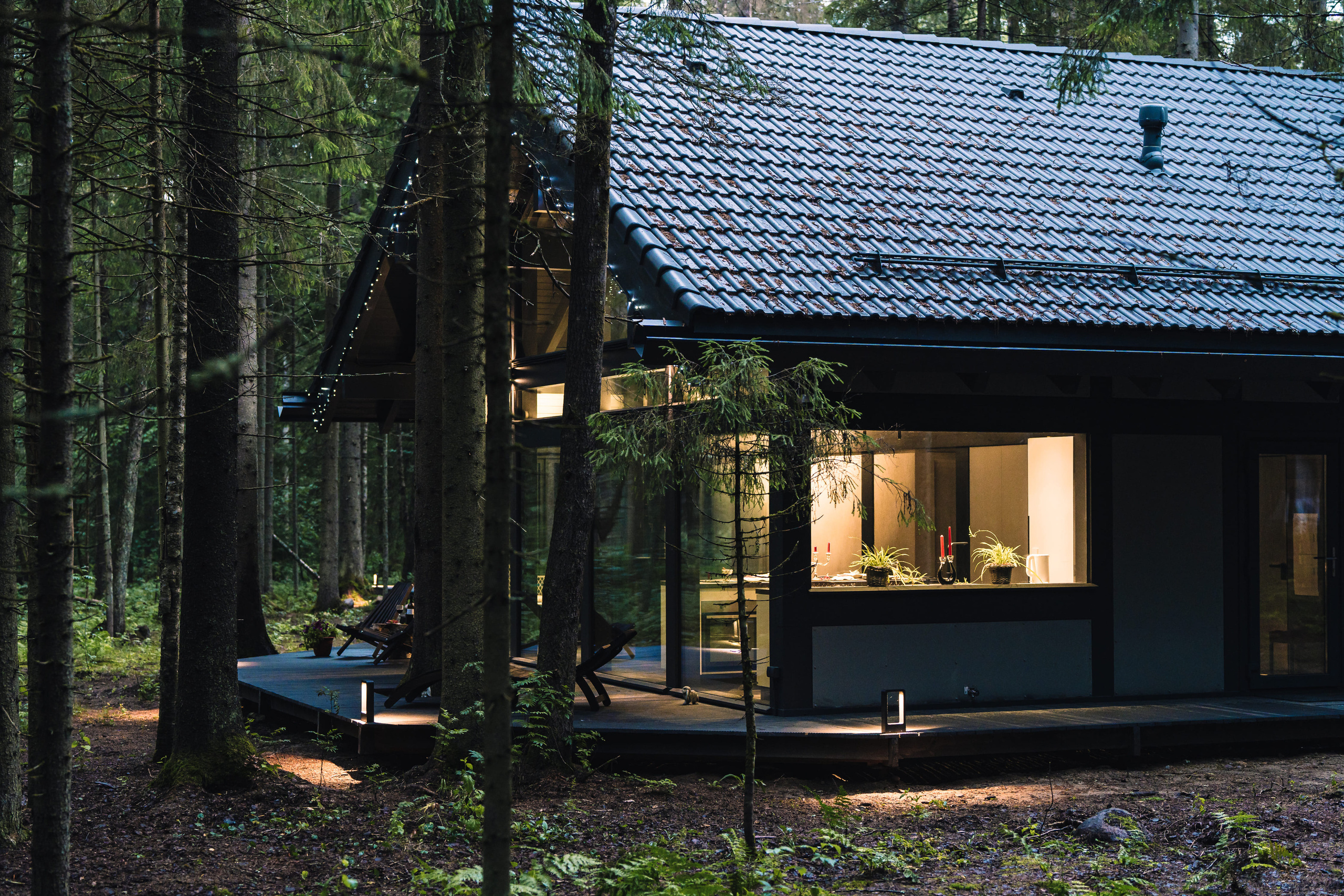 Дом в лесу. Святослав Буньков | фотограф