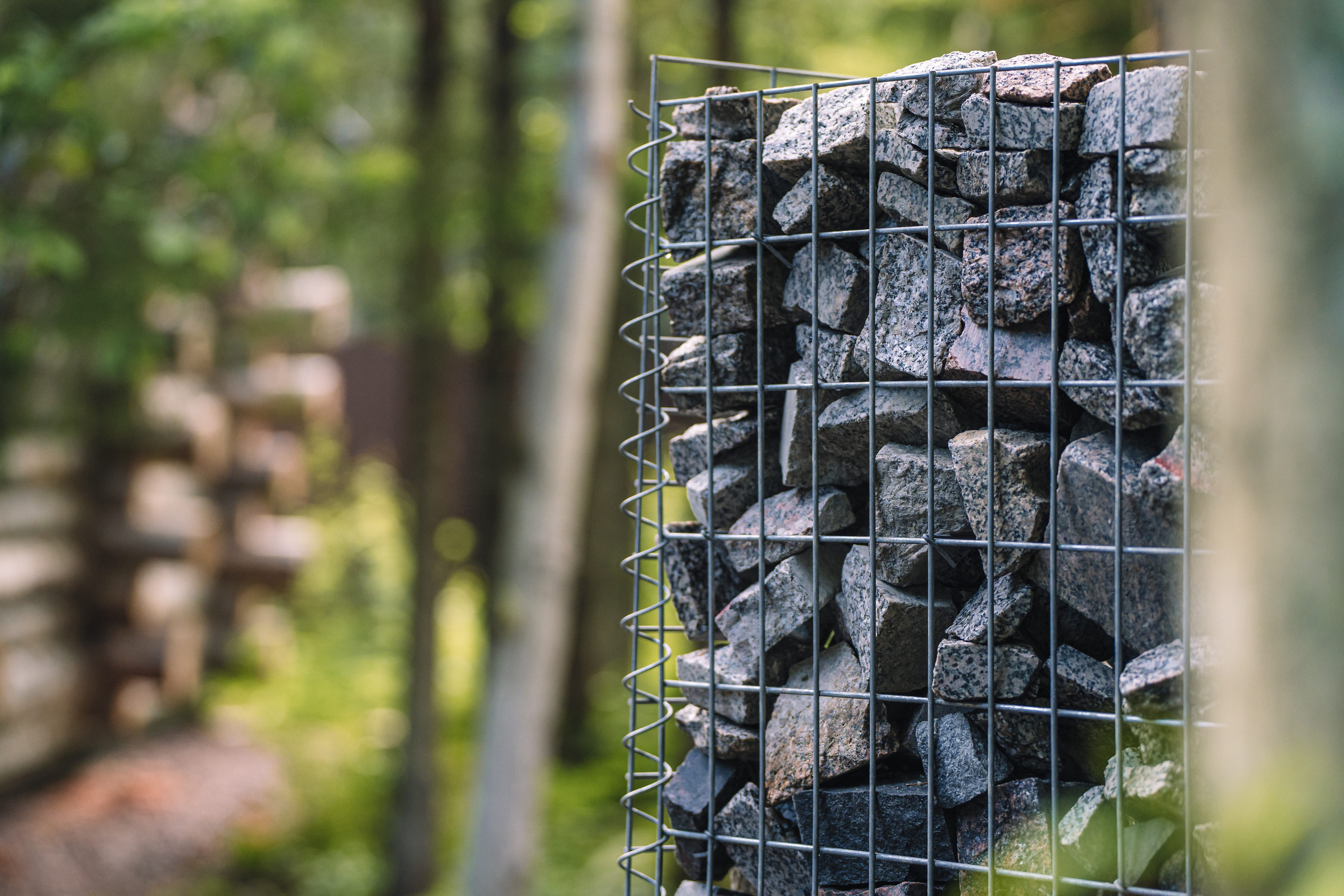 Дом в лесу. Святослав Буньков | фотограф